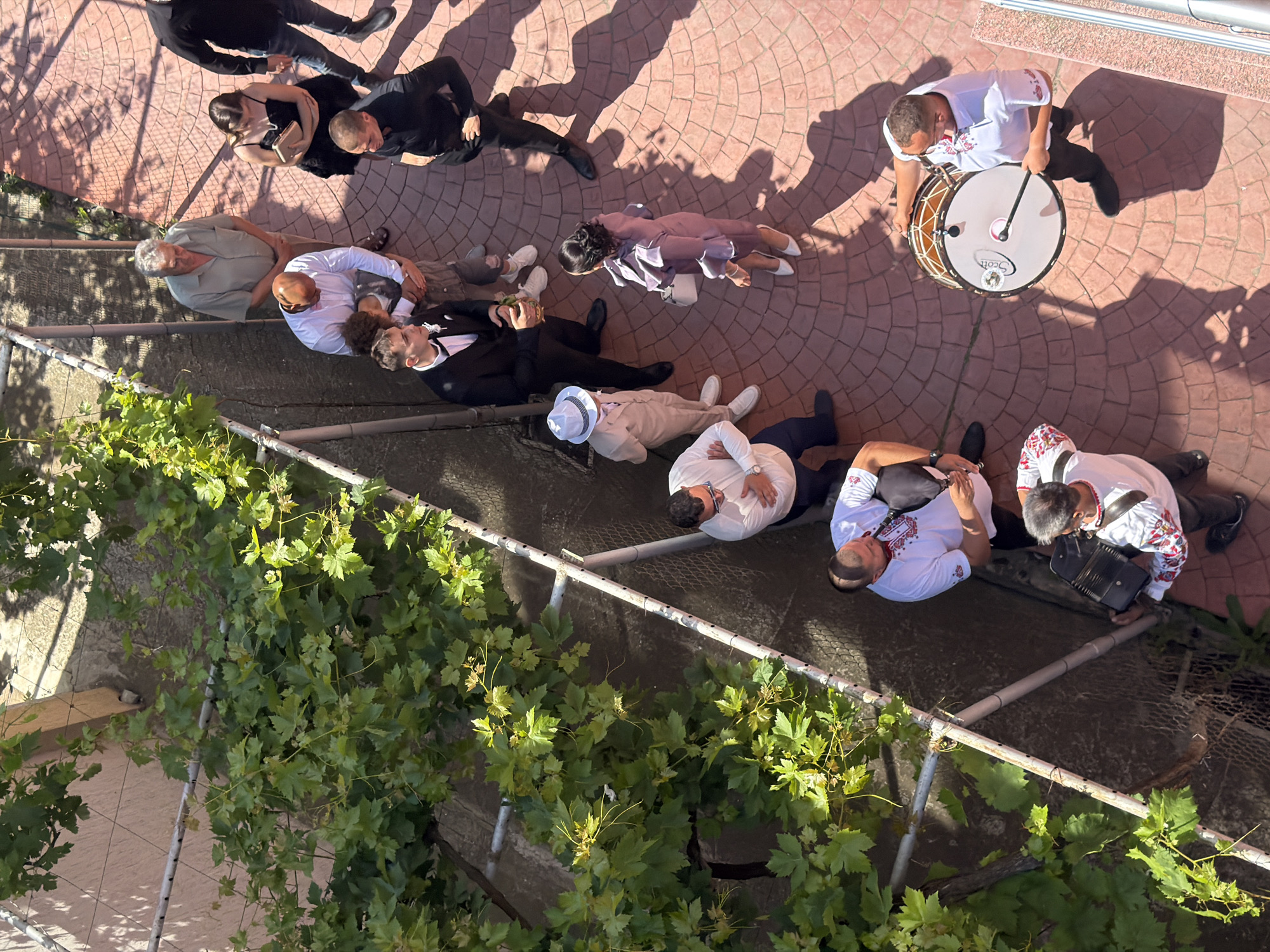 An overhead forensic view captures an outdoor gathering on a reddish-brown paved pathway, identified as being in the city of Burgas, Bulgaria. The pathway, constructed of interlocking bricks in a circular pattern, is illuminated by direct sunlight, casting sharp, elongated shadows from the individuals and surrounding foliage.
On the left side of the pathway, dense green leafy vines, consistent with grapevines, grow on a metal trellis or fence structure. Beyond the fence, a lighter-colored wall or building foundation is partially visible.
A total of eleven individuals are visible on the pathway, engaged in various activities. From the top-left to bottom-right:
1. An older man in a light grey shirt and light pants stands observing.
2. Below him, a man with a bald head, wearing a white shirt and light pink bowtie, holds a partially obscured small child or toddler.
3. To their right, a young woman in a black strapless dress holds a gold clutch bag.
4. Further right, a man in a black long-sleeved shirt and dark trousers stands with his hands on his hips.
5. A young man in a black suit, white shirt, and black bowtie holds a glass with a brown liquid.
6. To his left, a young boy or man in a light beige suit and white hat stands, holding a small object.
7. To the left of the boy in beige, a man in a white embroidered shirt and dark trousers stands with his arms crossed.
8. A woman in a mauve/purple dress with ruffled sleeves, white heels, and a white handbag is captured from behind, appearing to be in motion.
9. Closer to the bottom-left, a man in a white embroidered short-sleeved shirt and dark trousers plays a bagpipe-like instrument.
10. Next to the bagpipe player, a man in similar attire plays an accordion.
11. At the bottom-right, a third man in a white embroidered short-sleeved shirt and dark trousers plays a large bass drum, which has "Scott" written on its head, using a drumstick.
The ensemble of musicians suggests a celebratory or performance context for the gathering. The attire of several individuals, including suits and formal dresses, indicates a special occasion.