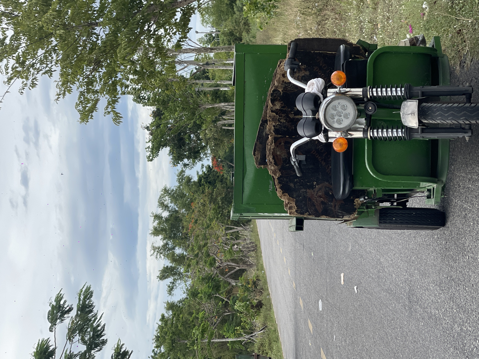 An electric three-wheeled vehicle, likely an auto-rickshaw or 'xe ôm', is parked on the side of a paved road in Hoi An, Vietnam. The vehicle is predominantly green and is loaded with large, dark pieces of what appears to be wood or salvaged material in its cargo bed. The front of the vehicle features a round LED headlight, two orange turn signals, and chrome handlebars. The surrounding environment is rural, with lush green trees and vegetation lining the road. The sky is overcast with scattered clouds, and small, light-colored objects are visible in the air, possibly debris or insects. The road itself has yellow dashed lines indicating lanes. The scene appears to be a snapshot of daily life or work in the outskirts of Hoi An.