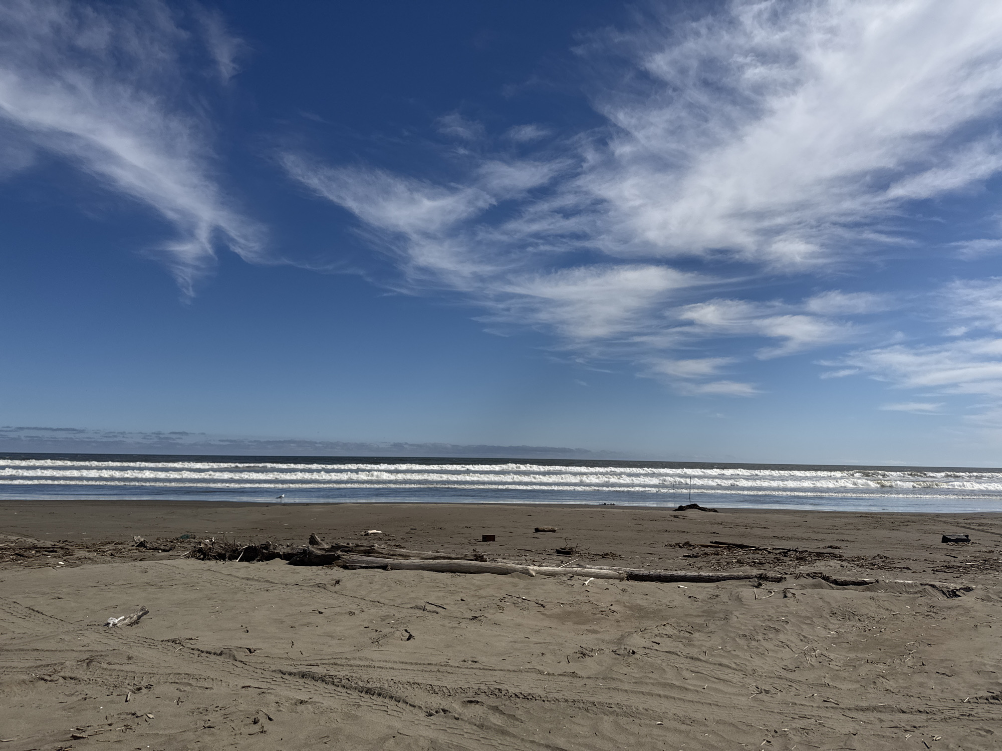 The image depicts a wide, sandy beach under a bright blue sky with scattered cirrus clouds. The ocean stretches to the horizon, with multiple rows of white-capped waves rolling towards the shore. The beach is strewn with driftwood and debris, and tire tracks are visible in the sand, suggesting recent vehicle activity. A single white bird is standing near the water's edge. The scene is devoid of people.