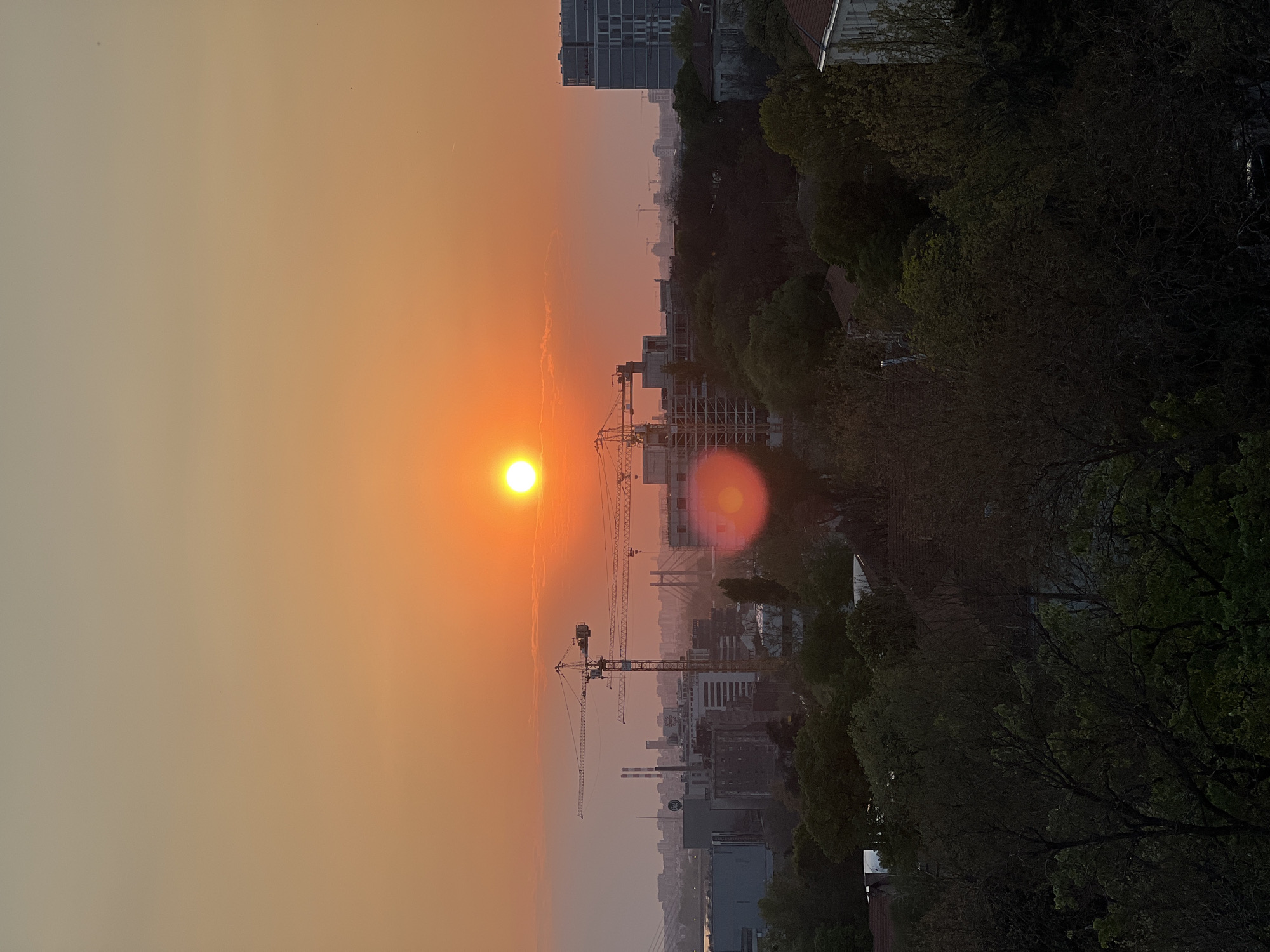 The image depicts a sunset view over Belgrade, Serbia. The sun is positioned low in the sky, casting an orange hue across the cityscape. There are several construction cranes visible among the buildings, indicating ongoing development. Trees line the edges of the scene, suggesting a residential or park area overlooking the city. The sky is hazy, obscuring distant features.