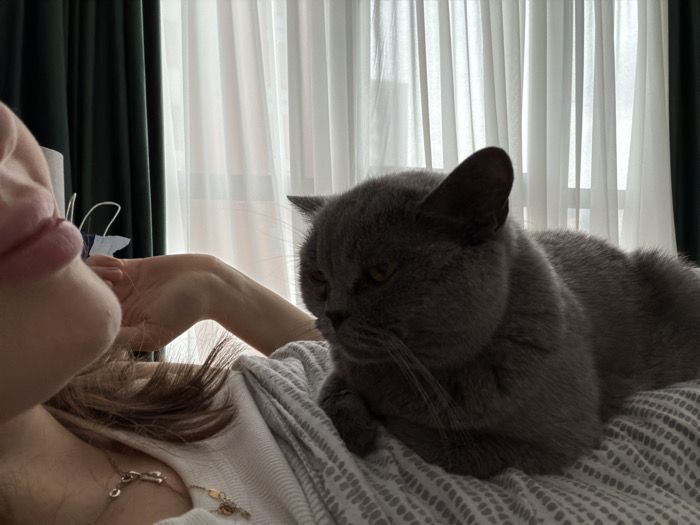 The image captures an indoor scene featuring a partial view of a person and a cat. On the left, the lower face, neck, and right hand of an individual are visible. The person has light pink lips, brown hair partially covering the neck, and wears a white top, possibly ribbed. Two necklaces are visible on their neck: one silver-colored with a knot charm and another gold-colored with a small pendant. The right hand rests near the chin. A large, grey-furred cat, consistent with a British Shorthair, occupies the right side of the frame. The cat is positioned on what appears to be the person's chest or lap, oriented to the left, facing the person, with its yellow-amber eyes appearing partially closed. It rests on a grey and white patterned fabric, likely a duvet or blanket. The background reveals a window covered by white, vertically pleated sheer curtains, flanked by dark green curtains on the far left. Bright natural light enters from the window, creating a soft illumination. A small white object with a blue accent is partially visible on the far left, above the person's hand. No discernible elements or landmarks within the image identify the specific location as being within the city of Tbilisi, Georgia.