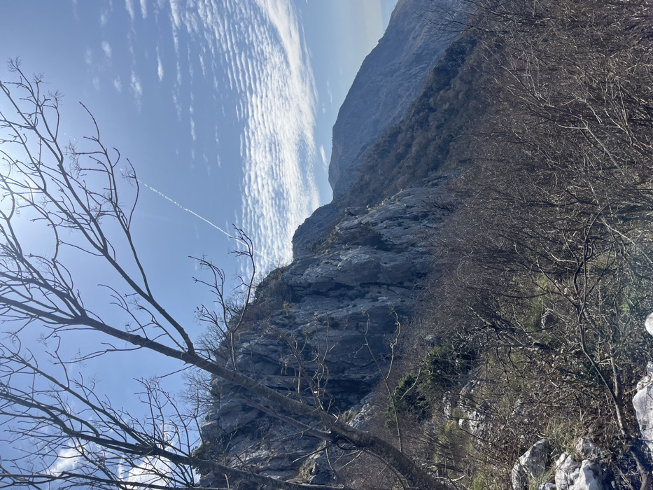 The image displays a rugged mountainous landscape in Vrba, Montenegro, under a clear blue sky. The sky is partially covered by white, ripple-like cirrocumulus clouds, particularly concentrated on the right side. A bright sun glare emanates from the upper left corner, partially obscured by the foreground. A distinct, linear white jet contrail extends diagonally from the upper left sky towards the mid-right.
In the immediate foreground, a bare deciduous tree with numerous dark, leafless branches extends across the upper left and central portions of the frame. The ground in the lower foreground consists of scattered light-colored rocks, dry grasses, and sparse patches of green vegetation.
The midground is dominated by a prominent, steep, light-gray limestone cliff face on the left, characterized by numerous vertical fissures, jagged textures, and shadowed recesses. To the right of this cliff, a densely vegetated slope descends, primarily covered by dormant, leafless trees and shrubs.
In the background, successive layers of darker mountain ranges recede into the distance, appearing hazy. A faint, light-blue sliver of what appears to be a large body of water, likely the sea, is visible on the far right horizon, beneath the distant mountains. No individuals, animals, or human-made structures are visible within the frame.