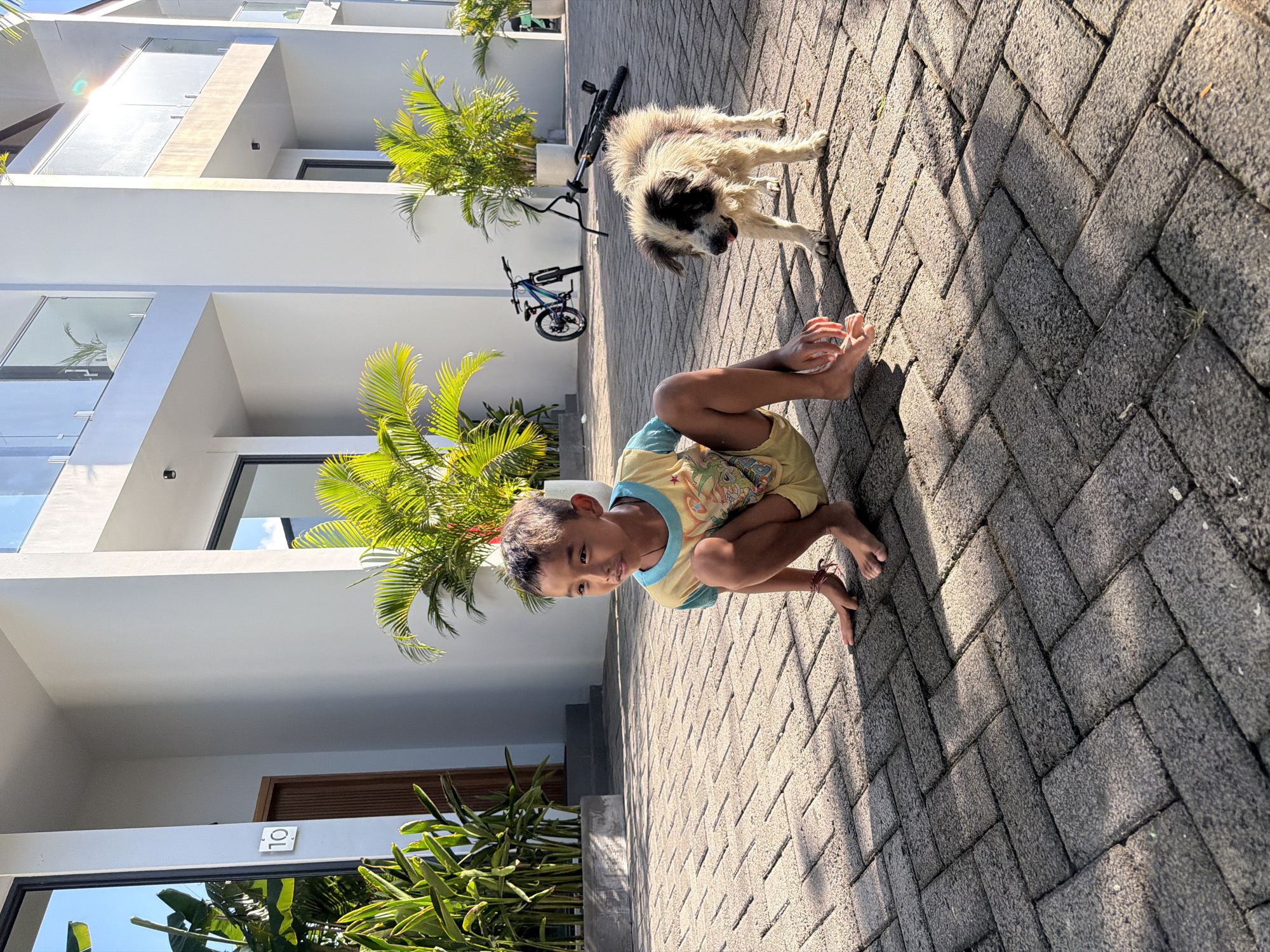 A young boy of Southeast Asian descent, with dark hair and wearing a yellow t-shirt with a blue collar and light yellow shorts, is crouched on a paved driveway. He is facing towards the right of the frame. Next to him, to his right, is a medium-sized dog with light brown and white fur, also facing right with its tongue slightly out. In the background, a modern building with white walls and glass balconies is visible, along with several potted palm trees. Two bicycles are leaning against the building in the background. The driveway is paved with rectangular grey bricks laid in a herringbone pattern. The scene appears to be an outdoor residential area in Kuta Selatan, Indonesia, with bright sunlight casting shadows on the ground.