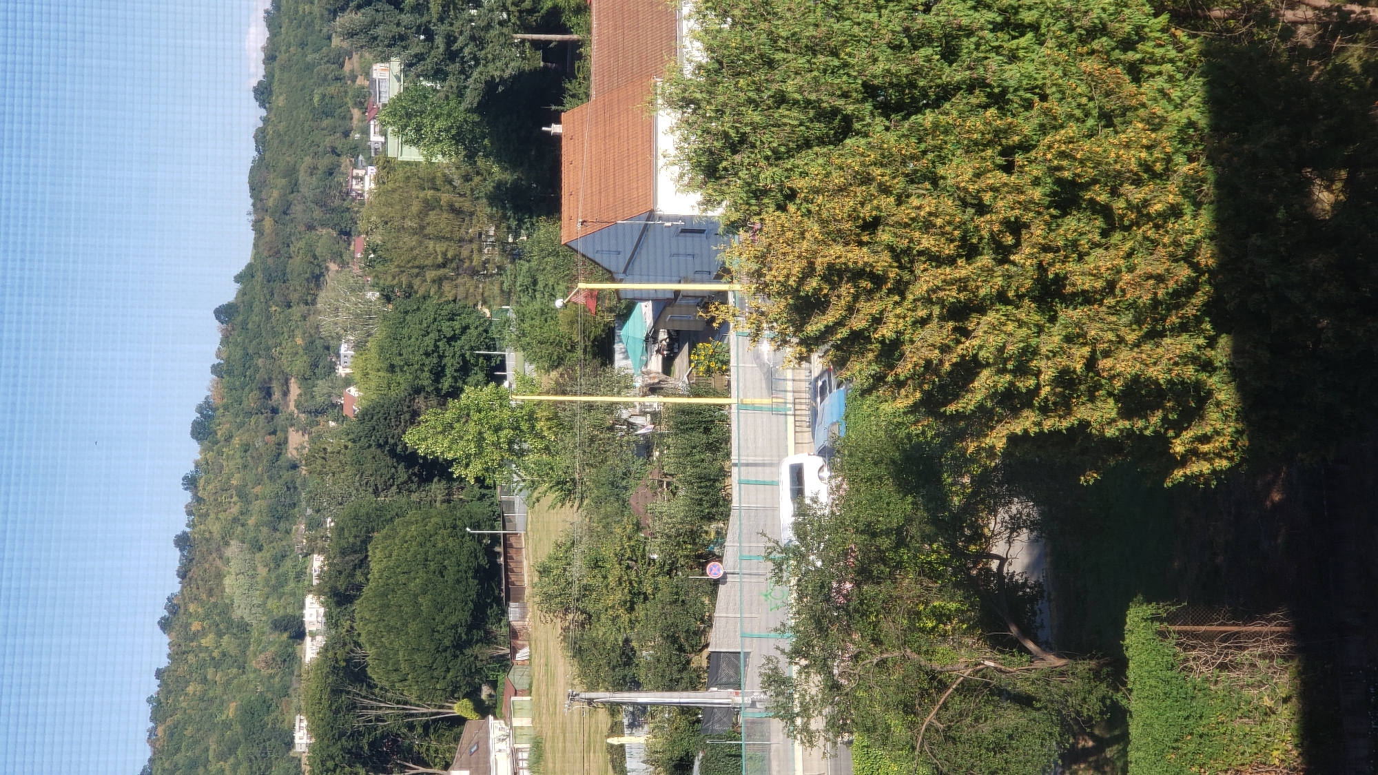 This image depicts a suburban hillside scene in Prešov, Slovakia, on a clear day. The foreground features dense foliage, including a prominent evergreen tree with yellowing needles, casting a shadow. A fence with climbing vines is visible on the left. Moving towards the mid-ground, a road runs horizontally, with a white van and a dark blue car parked on its shoulder. A concrete wall and a green metal fence line the road. Beyond the road, several houses with red tile roofs are scattered among mature trees, some with light green leaves and others with darker green foliage. A tall, thin yellow pole stands vertically near a white house with a red roof. The background is dominated by a tree-covered hillside dotted with more houses, suggesting a residential area built into the natural landscape. The sky is a clear, light blue.