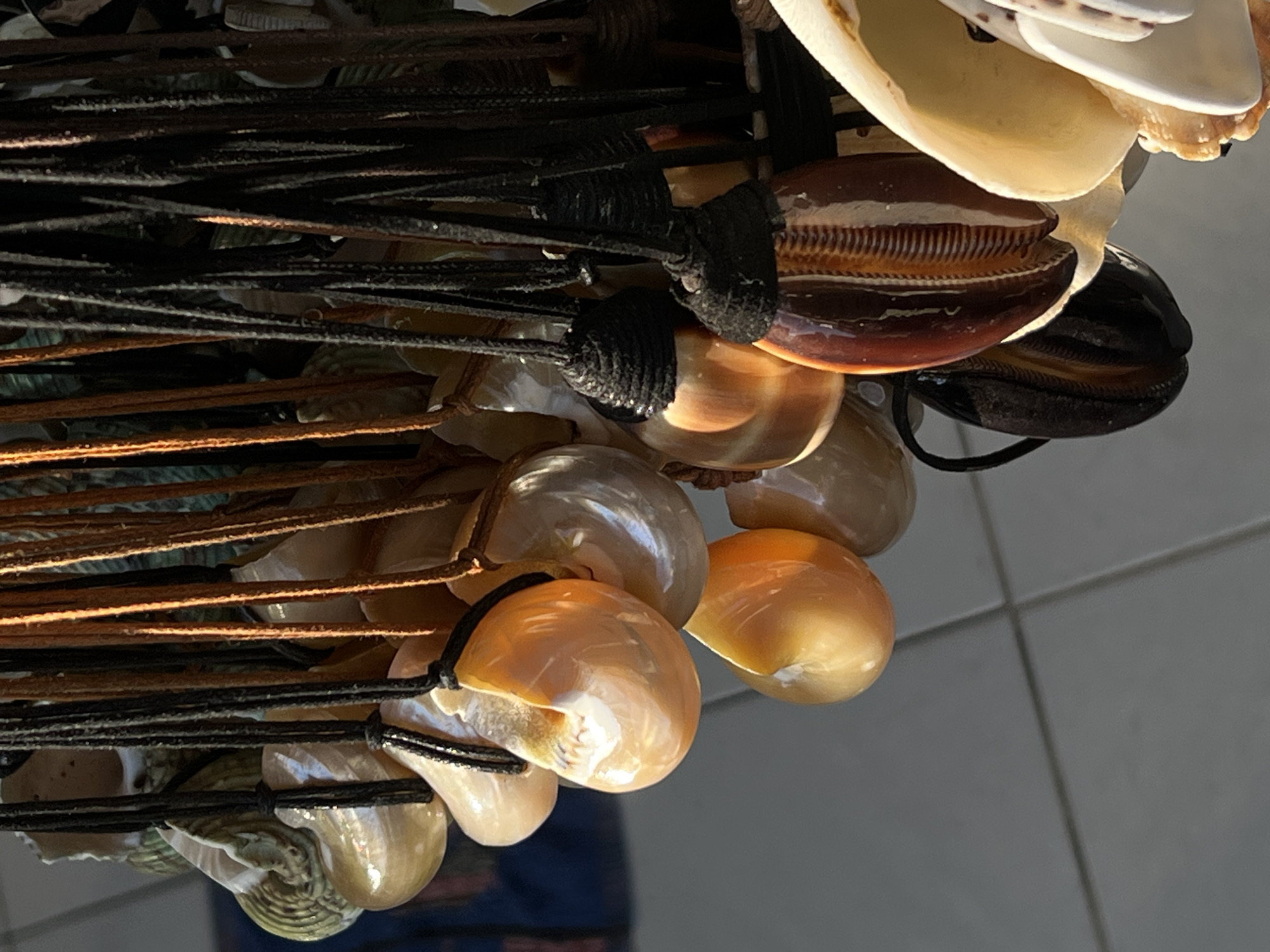 This close-up, vertically oriented image captures a dense display of numerous shell necklaces or bracelets, likely for sale in a market or souvenir shop in Kuta, Indonesia. The items are strung on various cords and straps, hanging closely together to form a layered arrangement.
The collection includes diverse types of shells. Several prominent dark brown cowrie shells with characteristic ribbed openings are visible, often attached to dark, possibly black, cords. Interspersed among these are numerous smoother, pearlescent shells that exhibit a range of colors from creamy white and light beige to rich golden brown, some displaying a subtle iridescent sheen. These shells are secured to both dark and lighter brown, possibly leather, straps. Towards the lower left, there are hints of greener, iridescent shells, possibly abalone.
The lighting appears bright, highlighting the smooth, reflective surfaces of the shells and suggesting either direct daylight or strong artificial illumination. The background is softly blurred and indistinct, showing muted tones and hints of a light-colored surface below, which may be a tiled floor or counter reflecting some of the shells. No people or visible text are present in the image. The scene evokes the atmosphere of a tropical, coastal tourist destination known for its natural crafts.