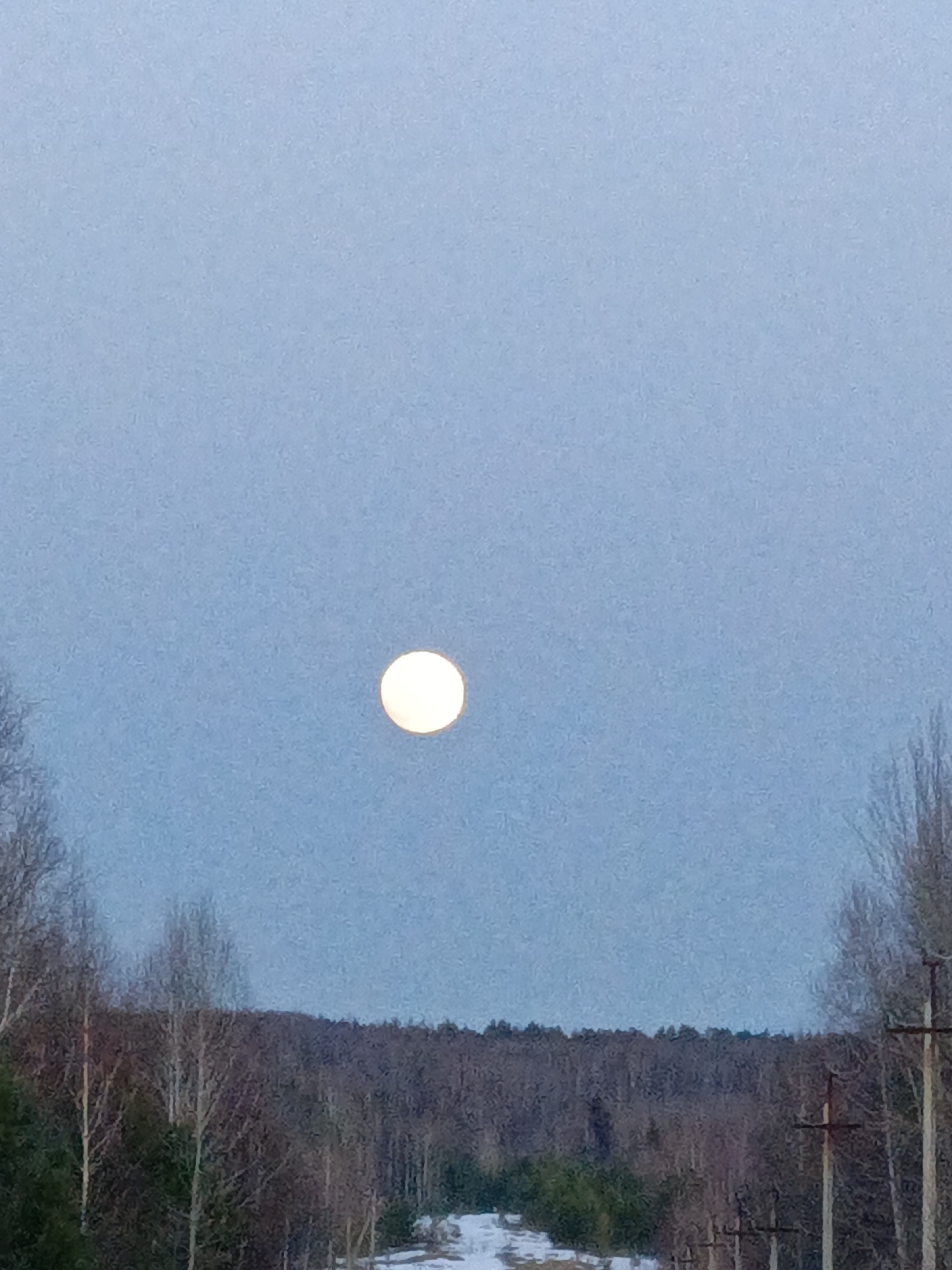 The image shows a landscape under a pale blue sky with a full moon centered in the frame. Below the moon, a forested area stretches across the horizon. Bare trees line the edges of the image, with a patch of snow visible in the lower-center. Power lines with crossbars stand on the right side of the image. The location is Марковский, Russia.