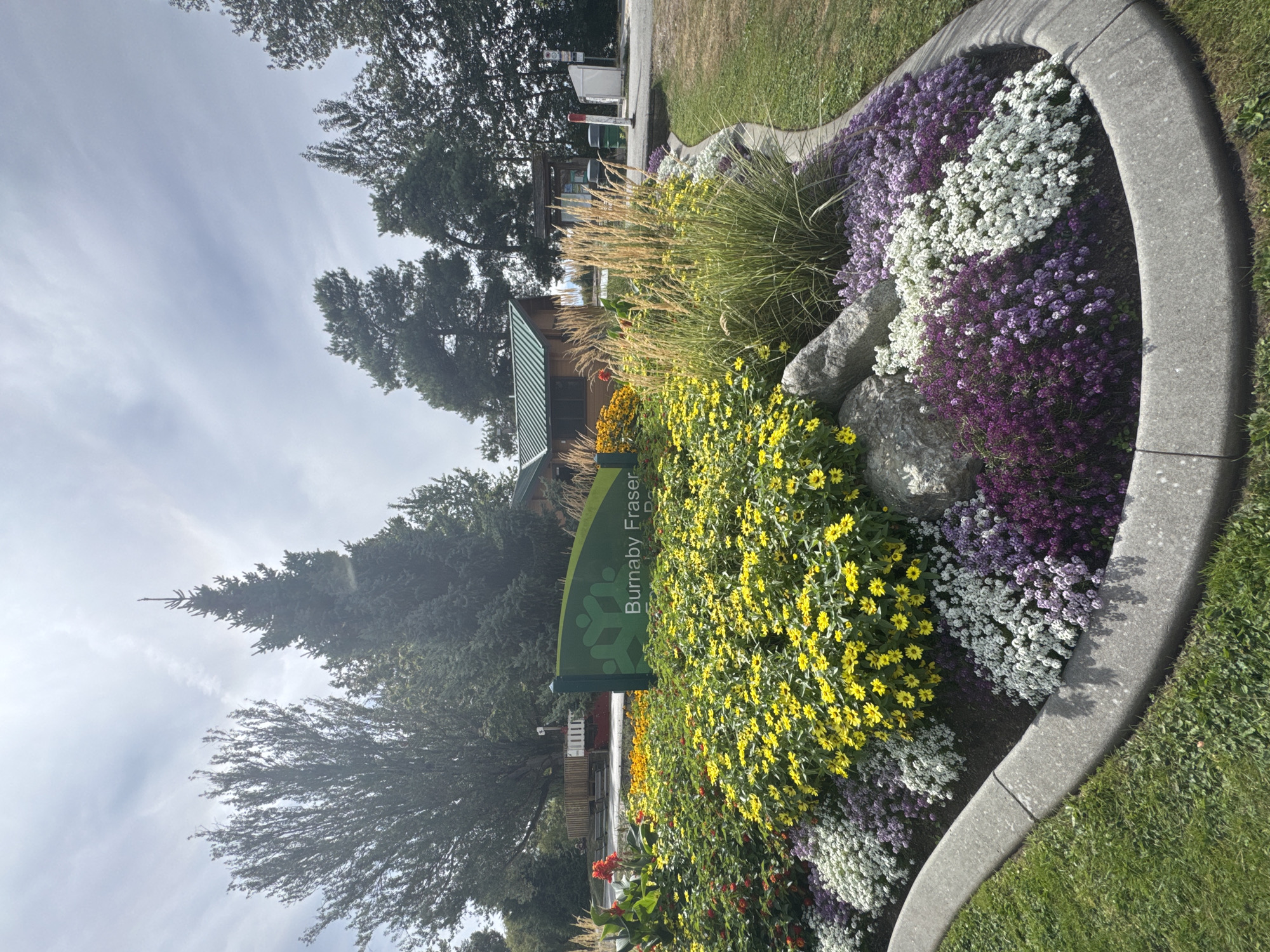 This image depicts a vibrant flower bed in the foreground, featuring a curved border of gray concrete. The flower bed is densely planted with various colorful blooms, including yellow daisies, small white flowers, and clusters of purple flowers. Behind the flowers, a prominent green sign reads "Burnaby Fraser" with a stylized logo. In the middle ground, there is a small wooden building with a green roof, and behind that, several tall trees and a cloudy sky. To the right, a paved area with trash receptacles and a white structure is visible, suggesting a park or public area. The scene appears to be a well-maintained public space in Burnaby, Canada.