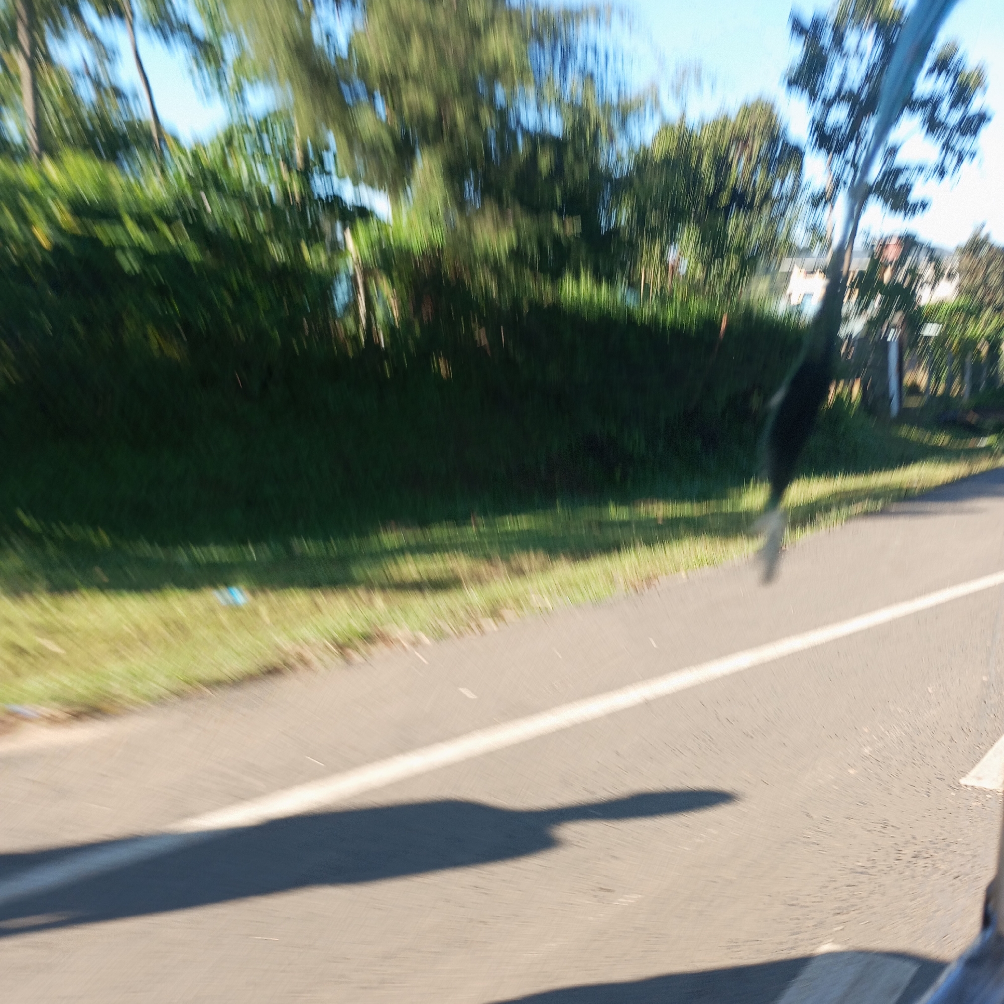 The image, taken from a moving vehicle, depicts a blurred roadside scene in Sheywe ward, Kenya. The road surface is asphalt with a solid white lane marking. A shadow is cast across the road, possibly from the vehicle itself or an occupant. To the side of the road is a grassy verge, transitioning into dense green foliage and trees. In the background, glimpses of buildings are visible through the trees.