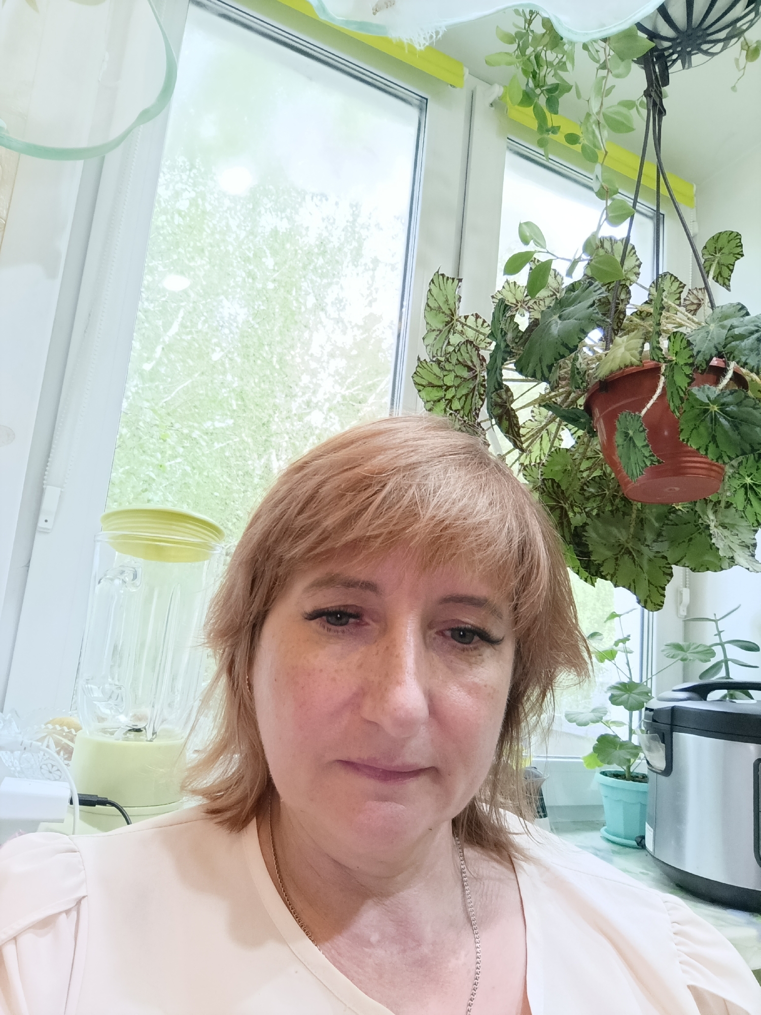 A middle-aged woman with light brown hair and freckles is taking a selfie in a bright room, possibly a kitchen. She is wearing a light pink blouse and a silver necklace. Behind her, a window shows greenery outside, suggesting a natural or garden setting. There are several houseplants, a blender, and a silver appliance visible in the background. The overall impression is of a casual, domestic environment.