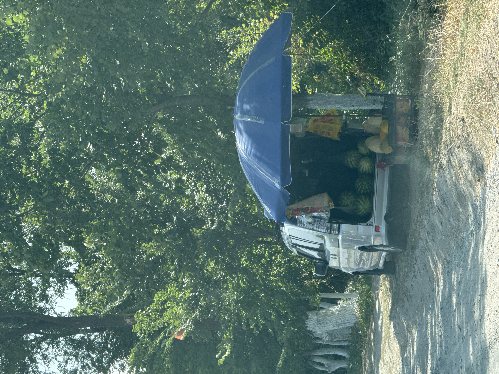 A silver van is parked on the side of a dirt road, its rear hatch open. Inside the van, several watermelons are visible. To the right of the van, a blue umbrella is set up, supported by a wooden pole. Beneath the umbrella, a stand displays various fruits, including what appear to be melons. The scene is set against a backdrop of lush green trees and foliage. The road appears unpaved and somewhat dusty, with patches of dry grass and weeds. In the background, white-painted tree trunks are visible along the left side of the road. The overall impression is that of a roadside fruit stand on a sunny day, likely in a rural or semi-rural area.