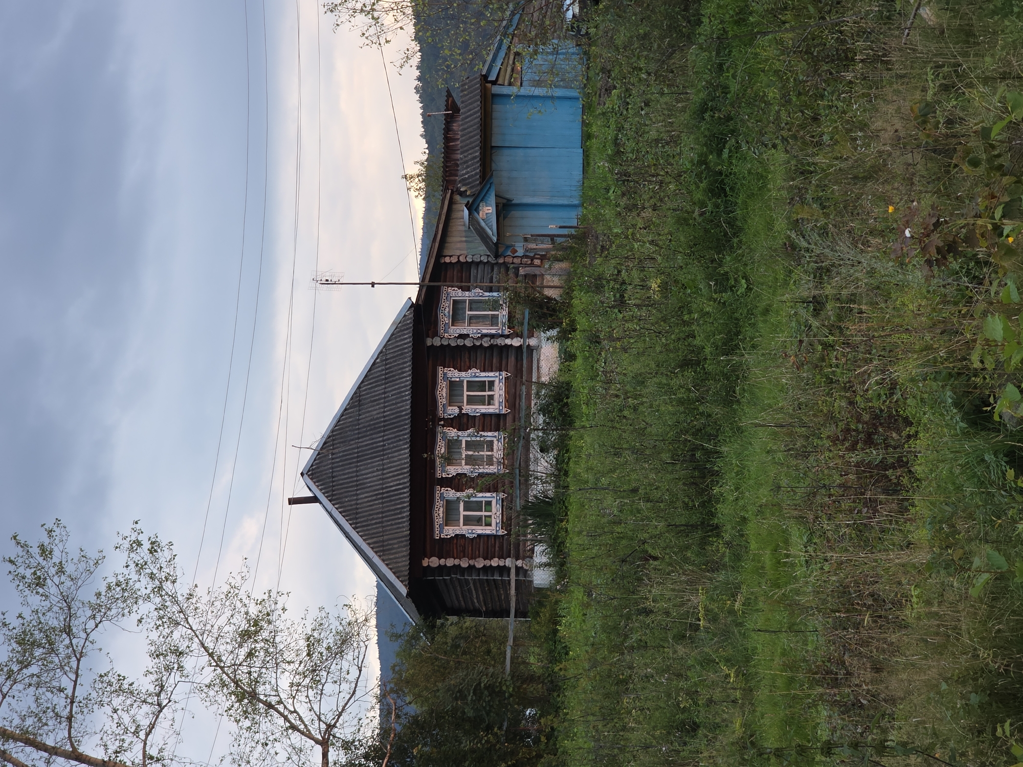 In the city of Magnitka, Russia, a traditional wooden house stands weathered and rustic, its dark timber walls contrasting with the vibrant green of overgrown vegetation. The house features three windows with ornate blue and white painted trim, suggesting a touch of decorative artistry. Adjacent to the main structure, a small, bright blue outbuilding with a sloping roof adds a splash of color to the scene. A weathered fence runs in front of the house, partially obscured by the lush growth. The sky above is overcast, with a few wisps of clouds hinting at a dull day. The surrounding landscape includes distant hills covered in trees and a few power lines stretching across the sky. The overall impression is one of rural simplicity and a connection to nature.