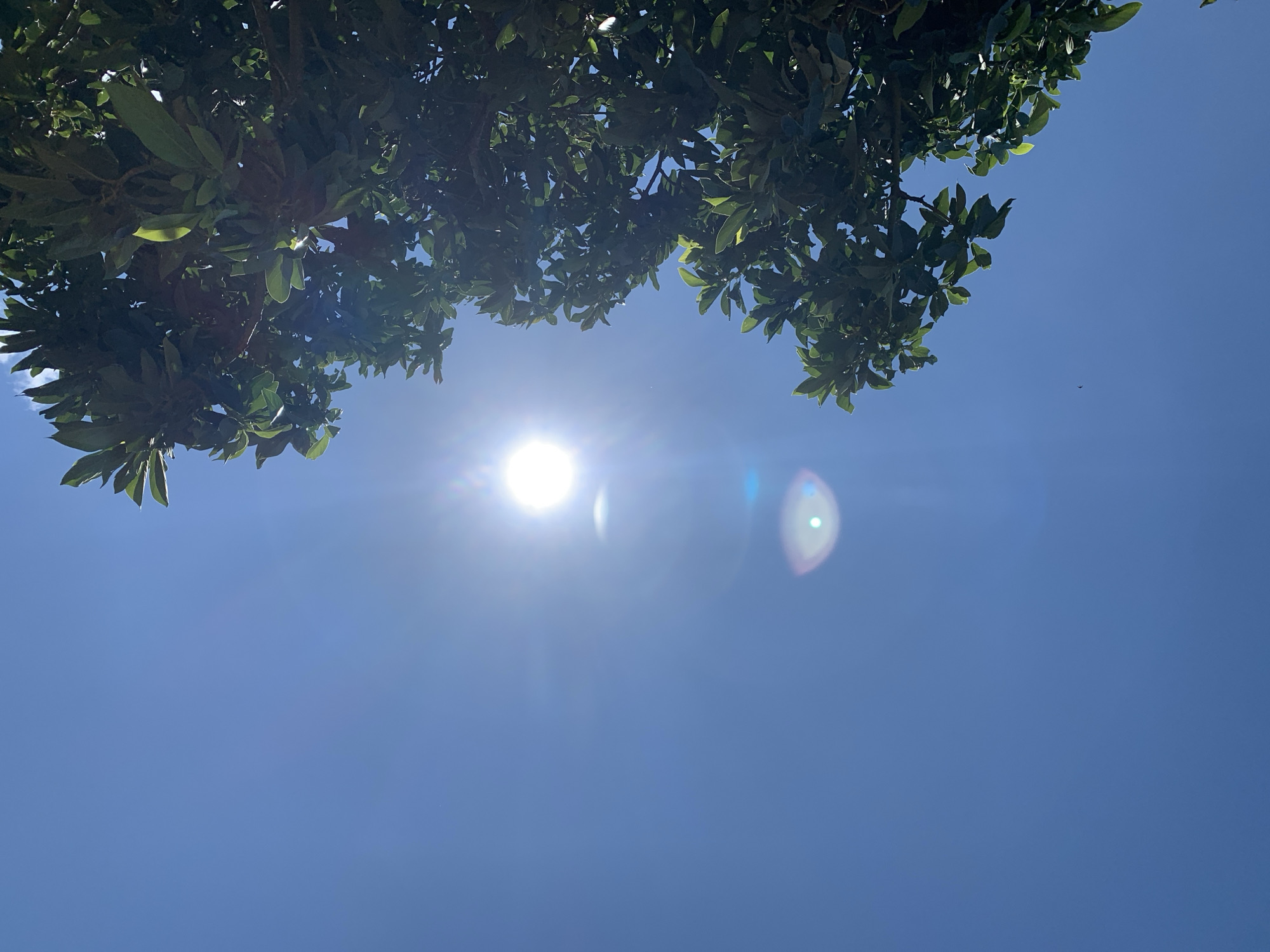 A low-angle shot captures a vibrant, clear blue sky with the bright sun shining prominently. Sunlight creates lens flare, with one particularly bright flare and another fainter, oval-shaped flare above it. On the left side of the frame, the lush green foliage of a tree extends into the sky, with some leaves backlit by the sun. The image appears to have been taken outdoors in Kuru Karama, Nigeria, on a sunny day. There are no people or animals visible in the scene.