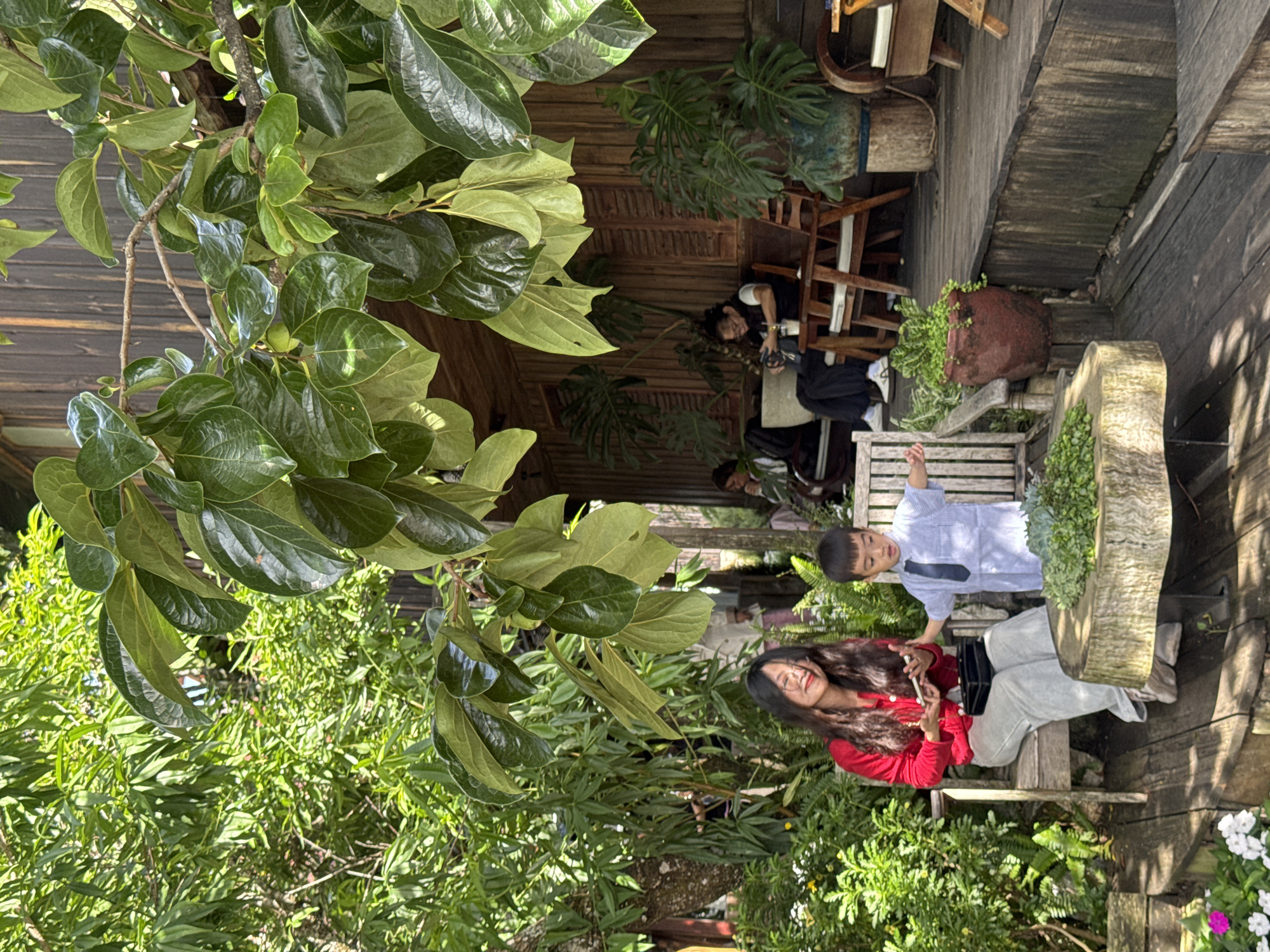 This is a medium-shot outdoor photograph taken at a cafe in Da Lat, Vietnam, bathed in natural sunlight. In the foreground, a young woman with long dark hair, wearing glasses and a red cardigan over a white top, is seated on a wooden bench. She is looking at her phone and smiling. Next to her, a young boy in a light blue shirt with a dark tie is standing and gesturing with his arms. Behind them, several other people are seated on chairs on a wooden porch, some interacting with their phones. The cafe features a rustic wooden exterior and is surrounded by lush greenery, with large leaves from a tree hanging over the scene. A rough-hewn wooden table with succulents sits in front of the bench. The overall atmosphere is relaxed and casual, suggesting a peaceful afternoon outing.