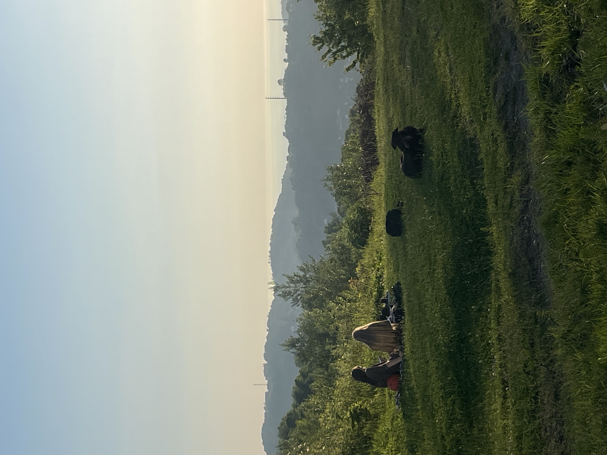 The image displays an outdoor scene at an elevated vantage point, consistent with the mountainous terrain overlooking the Black Sea in Sochi, Russia. The lighting conditions suggest either early morning or late afternoon, with a low sun angle creating long shadows and imparting a warm, pale yellow-orange hue to the horizon, transitioning to a light blue sky overhead, absent of clouds.
In the mid-ground, two individuals are seated on a patch of green grass, facing away from the viewer and towards the distant landscape. The person on the left has dark hair and is clad in dark attire, with a reddish-orange spherical object positioned adjacent to their left side. The person on the right exhibits long, light-colored hair and wears light-colored clothing. Both appear to be seated on a ground covering, with several dark, undefined objects, possibly personal belongings, arrayed near them.
To the right of the seated individuals, a black dog is observed resting on the grass. Slightly to its left and further back, another dark, rounded form is present on the ground.
The foreground consists of verdant green grass, exhibiting varied shading from direct sunlight and shadow. Beyond the immediate area, multiple layers of thickly forested hills and mountains extend into the background, characterized by a visible atmospheric haze. A distinct horizontal expanse of light blue-gray at the farthest visible distance represents a large body of water, identifiable as the Black Sea. Faint indications of urban or suburban structures are discernible along the distant shoreline. Several tall, slender man-made structures, resembling communication towers or power pylons, are visible atop the distant hills against the hazy sky.