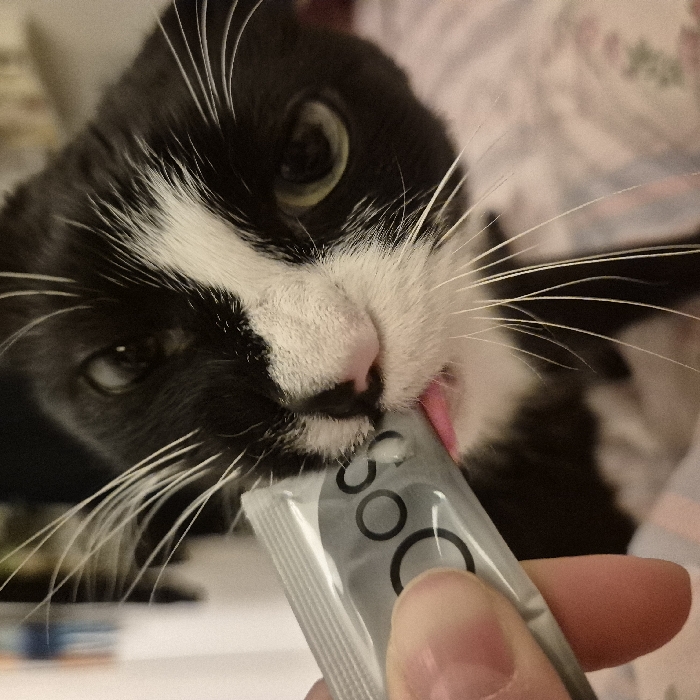 A black and white cat is being given a treat from a silver pouch by a human hand. The cat’s tongue is sticking out as it licks the pouch. The cat’s face is up close to the camera. The cat has green eyes. The pouch has the word "SOC" in big letters. The background is blurry but looks like a bed with sheets.