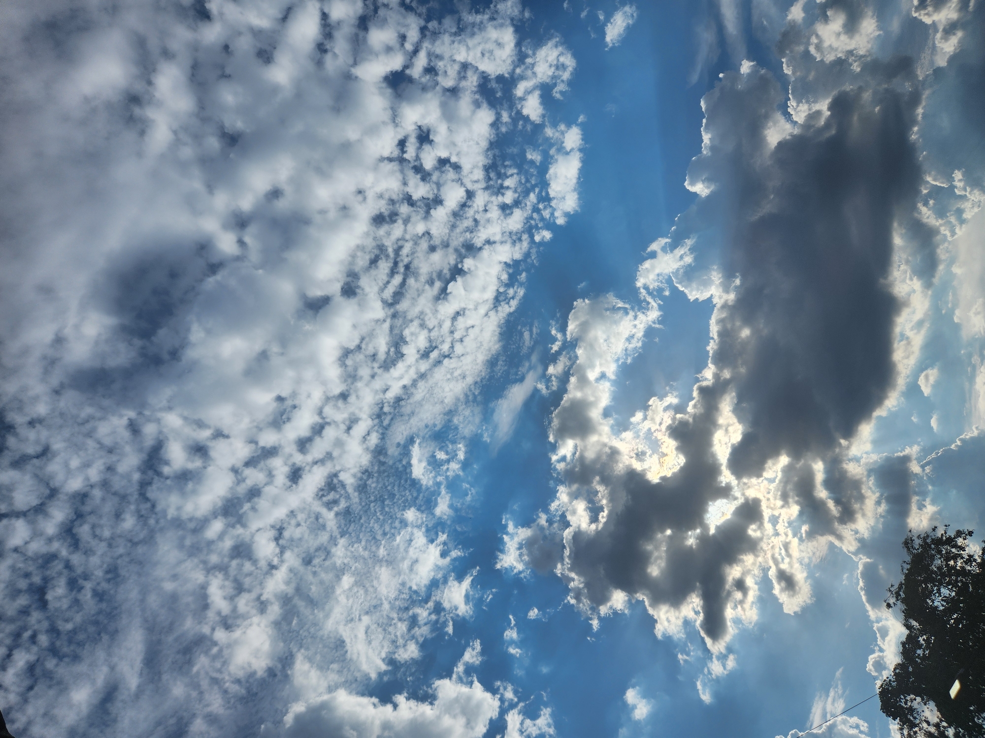 The image shows a daytime sky in Tinaquillo, Venezuela, partially covered with cumulus and stratocumulus clouds. The blue sky is visible in gaps between the clouds. The sun is behind some of the clouds, creating a backlit effect. A tree is partially visible at the bottom right corner.