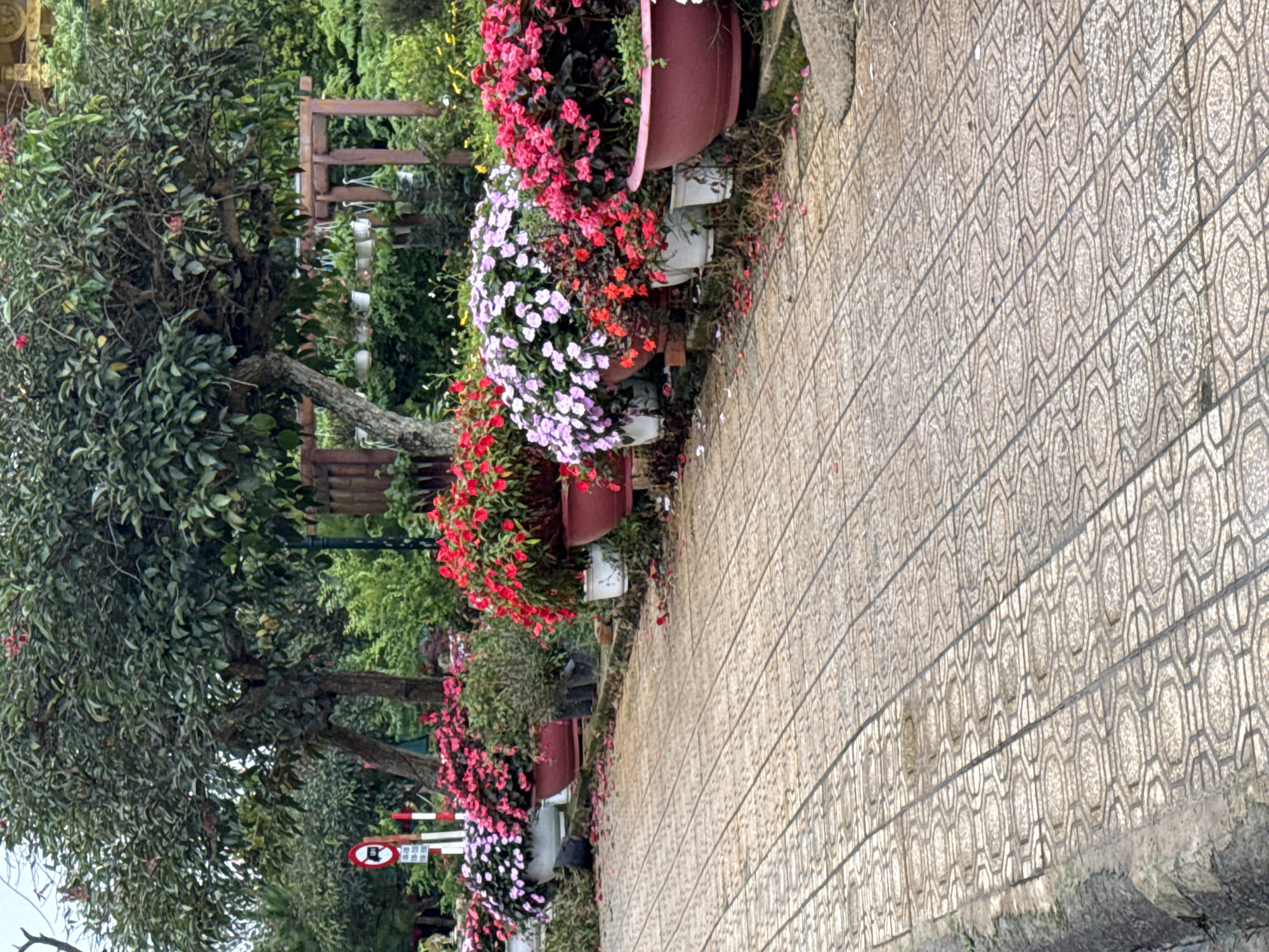 The image depicts a walkway lined with potted flowers in Da Lat, Vietnam. The walkway is paved with hexagonal patterned tiles. Several large pots contain a variety of colorful flowers, including pink, red, and purple varieties. Behind the flowers, trees with dense green foliage are visible, along with some wooden structures. A sign with a red circle and a crossbar, possibly indicating a prohibition, is also present in the background. The scene appears to be an outdoor garden or public space, possibly part of a park or botanical garden in Da Lat.