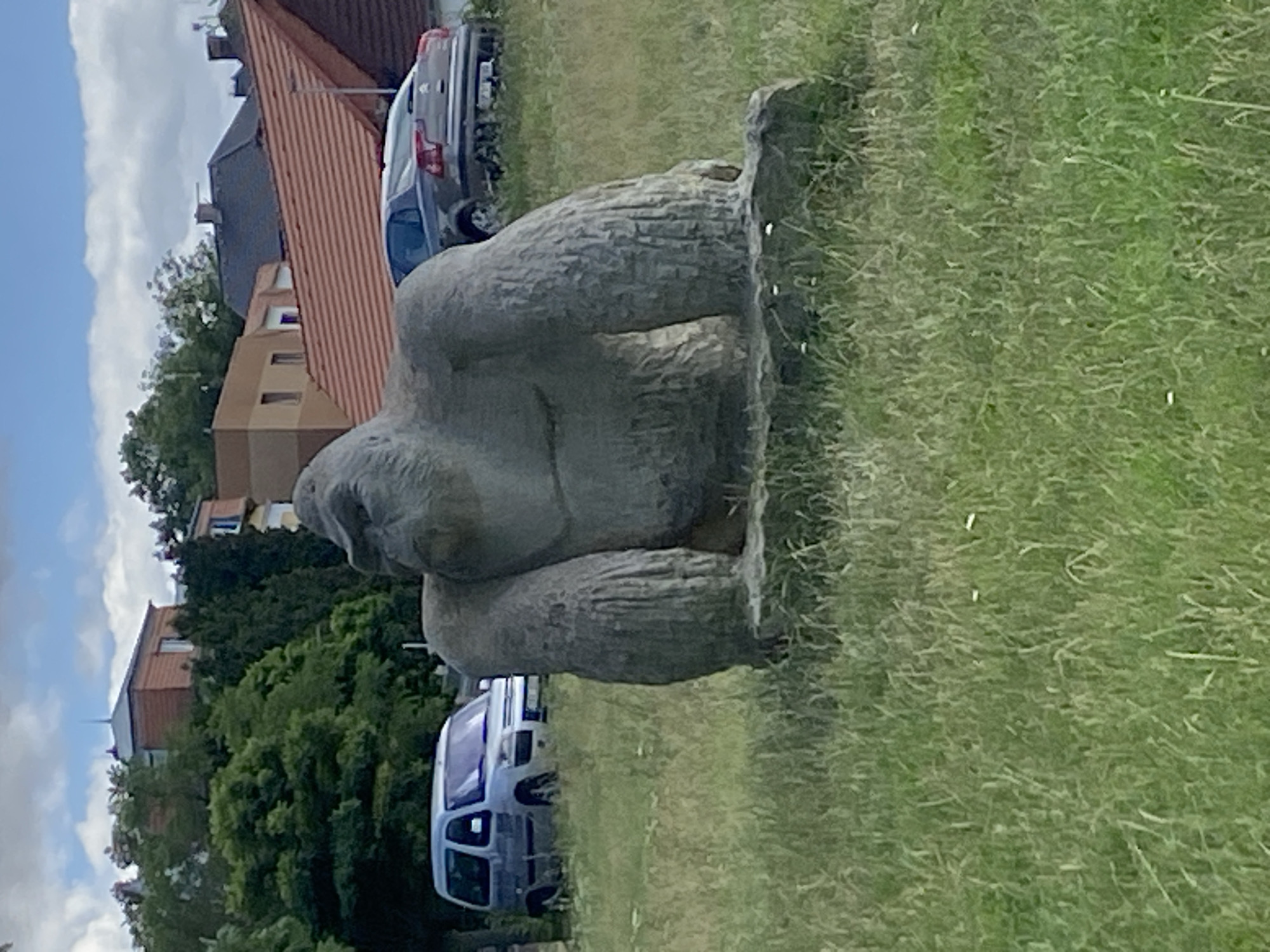 This media file captures an outdoor scene in Bílina, Czechia. The primary subject is a stone sculpture of a gorilla, positioned on a grassy area. The sculpture is rough-hewn and appears to be in a resting or squatting pose, facing left in the frame.
In the background, to the left of the sculpture, there are several buildings with red-tiled roofs and beige-colored walls, suggesting a residential or urban environment. Trees with lush green foliage are also visible, interspersed between the buildings.
Two vehicles are partially visible. One is a silver car parked behind the sculpture. Further to the left, a white van or SUV with tinted windows is parked in front of some trees.
The sky above is partly cloudy, with large white clouds against a blue sky, indicating fair weather, likely during the daytime. The overall setting appears to be a park or a public space adjacent to buildings. No people are directly visible in the image, and no text is legible. The scene is static, with no particular activity taking place, focusing on the sculpture and its surroundings.