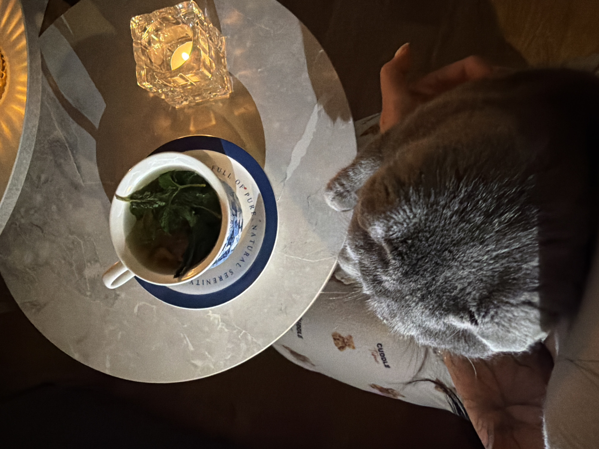 The image shows a close-up, high-angle view of a round, marble-patterned table with several items on it. In the center, there is a white teacup with a blue and white pattern on the saucer. The teacup contains a green herbal tea with leaves. To the right of the teacup is a small, square, clear glass votive holder with a lit candle inside, casting a warm glow. The table is partially lit, with shadows cast by the objects. In the foreground, the back of a gray cat's head and neck are visible, along with a human hand gently resting on the cat. The cat's fur is soft and gray. The person is wearing light-colored pajamas with a teddy bear print and the word "CUDDLE" visible. The background is dark and out of focus. The scene appears to be set in a cozy, indoor environment, likely a home. The specific location in Novaya Usman', Russia is not discernible from the image itself.