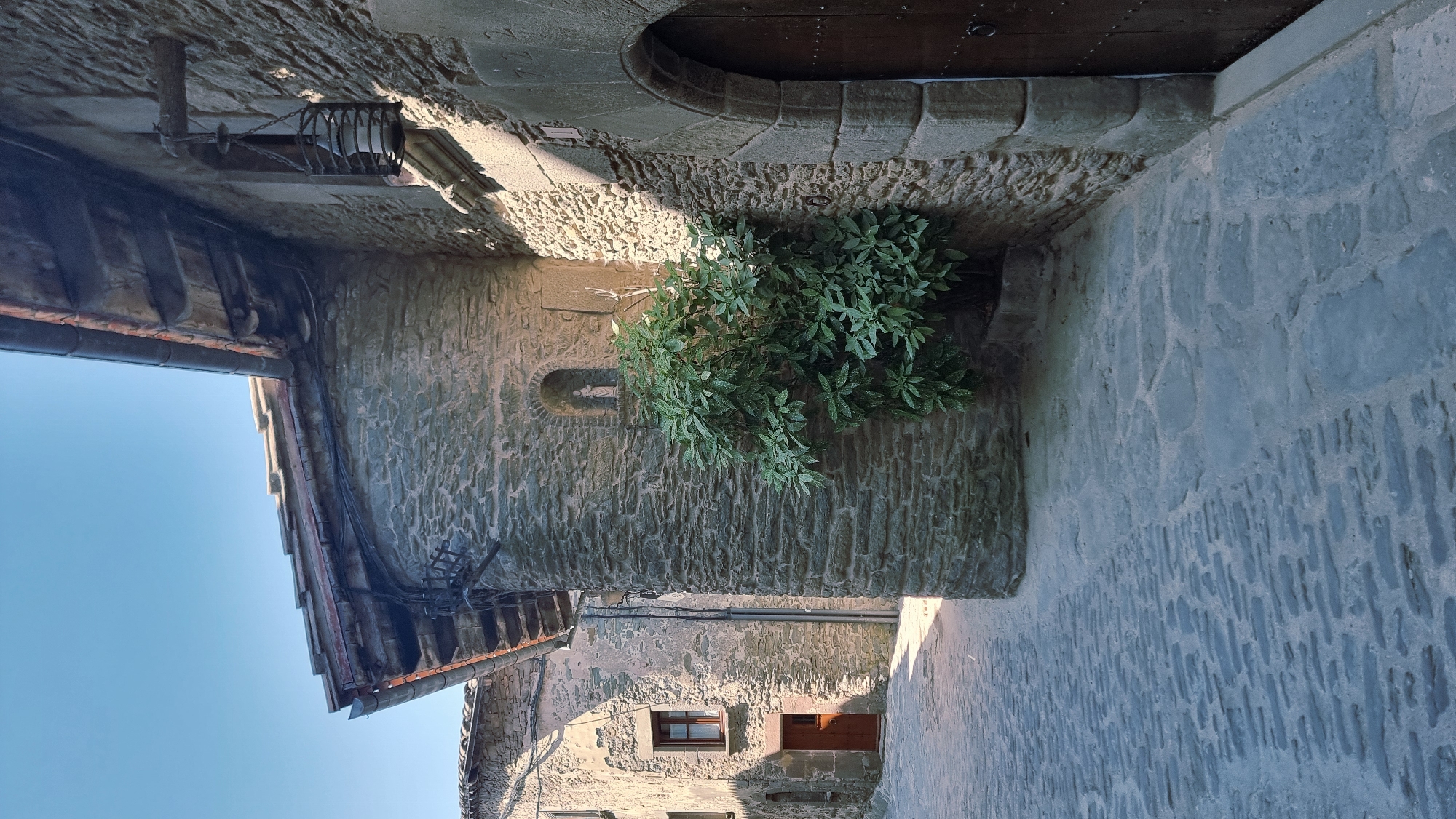 This is a vertical, medium shot of a cobblestone alleyway in the historic town of Rupit, Spain. The street is paved with irregular-shaped, weathered grey stones. On the right, a textured stone building with a dark wooden door is partially visible. Above the door, an arched stone entryway frames the entrance. A rustic, metal lantern hangs from a wooden beam attached to the building's facade. The building's wall is made of large, rough-hewn grey stones, and a small niche carved into the wall contains a white figurine. In front of the niche, a dense, green bush with broad leaves grows. Further down the alley, another stone building with a red-brown door and a window with a brown frame is visible. The sky above is a clear, pale blue. The sunlight casts distinct shadows across the cobblestones and buildings, indicating it is daytime. The scene depicts a quiet, old European street.