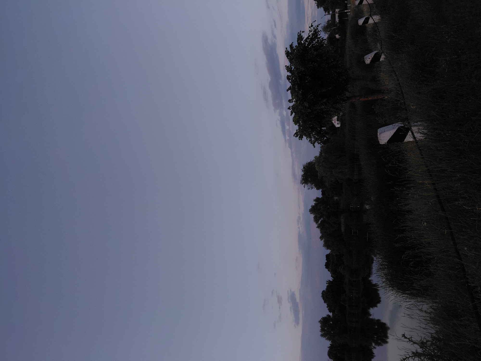 The image depicts a serene twilight scene in the village of Ustyvytsia, Ukraine, likely along the banks of a body of water. The sky is a soft gradient of pale blue transitioning to a deeper indigo near the horizon, with a few scattered, wispy clouds. Below the sky lies a dense line of dark trees and foliage that forms the natural border of the water. The water itself is calm and reflects the subtle colors of the sky and the surrounding vegetation, creating a mirror-like effect. In the foreground, tall grasses and reeds grow densely, partially obscuring the view. Several white markers with black diagonal stripes are visible along the edge of what appears to be a path or roadside, suggesting a transition between the natural landscape and a more developed area. A single, dark-leaved tree stands prominently to the right of the frame. In the distance, hints of white buildings can be seen through the trees, indicating a settlement. The overall atmosphere is one of quietude and natural beauty, characteristic of a rural setting at dusk.
