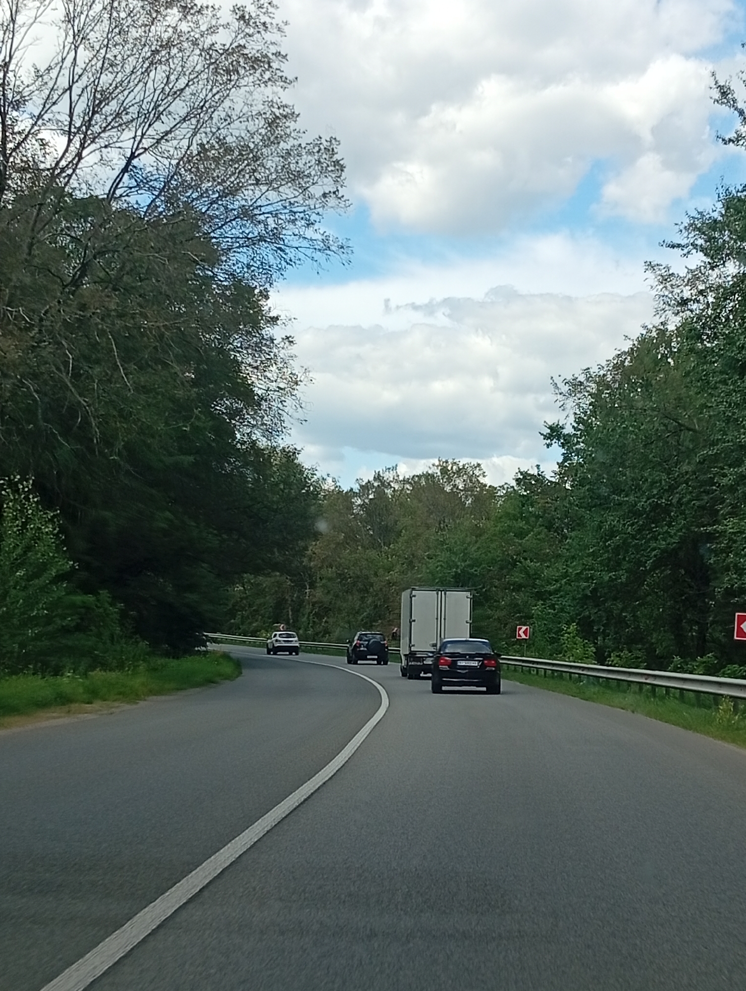 A first-person perspective shot captures a road winding through a forested area on a cloudy day. The road is paved with a white line marking the right lane. Several vehicles are visible on the road, including a white truck with a trailer, a black sedan, and two SUVs. The trees lining the road are lush and green, creating a dense canopy. The sky is filled with a mix of white and grey clouds, with patches of blue sky visible. Two red traffic signs with white arrows are present on the right side of the road, indicating a curve. The overall scene depicts a typical highway environment with moderate traffic and surrounding natural scenery.