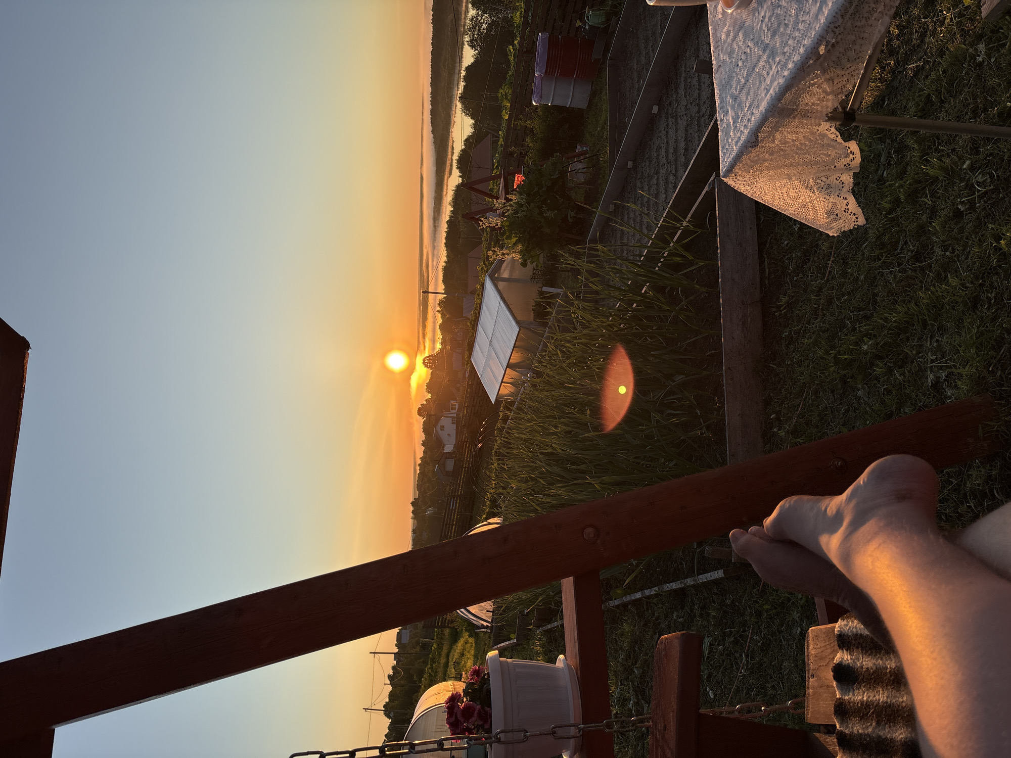 This image captures an outdoor rural scene at either sunrise or sunset in Зеленец, Russia. The sun, a bright orange orb, is low on the left horizon, illuminating the landscape with warm, golden light. The sky transitions from a deep orange at the horizon to a clear light blue overhead. In the distant background, a body of water, likely a river, is visible, partially obscured by a layer of low-lying fog or mist, with a band of dark trees lining its far bank.
The foreground is dominated by a dark wooden structural beam, possibly part of a swing set or pergola, which angles from the bottom left towards the top right. A person's bare feet and lower legs are visible in the bottom left, resting on a textured surface, strongly illuminated by the sun. On the left, a white pot containing pink flowers sits on a wooden ledge of the structure.
The midground features a cultivated garden area with visible rows of green plants, likely in raised beds, and several transparent or white-sheathed greenhouses/polytunnels. One large greenhouse is prominent in the mid-left. Two large barrels, one red and one white/purple, are situated near a wooden fence in the mid-right. Scattered houses and power lines are visible on the distant slopes. On the far right edge, a table covered with a white lace tablecloth is partially visible. A bright lens flare is present in the lower-right quadrant of the image.