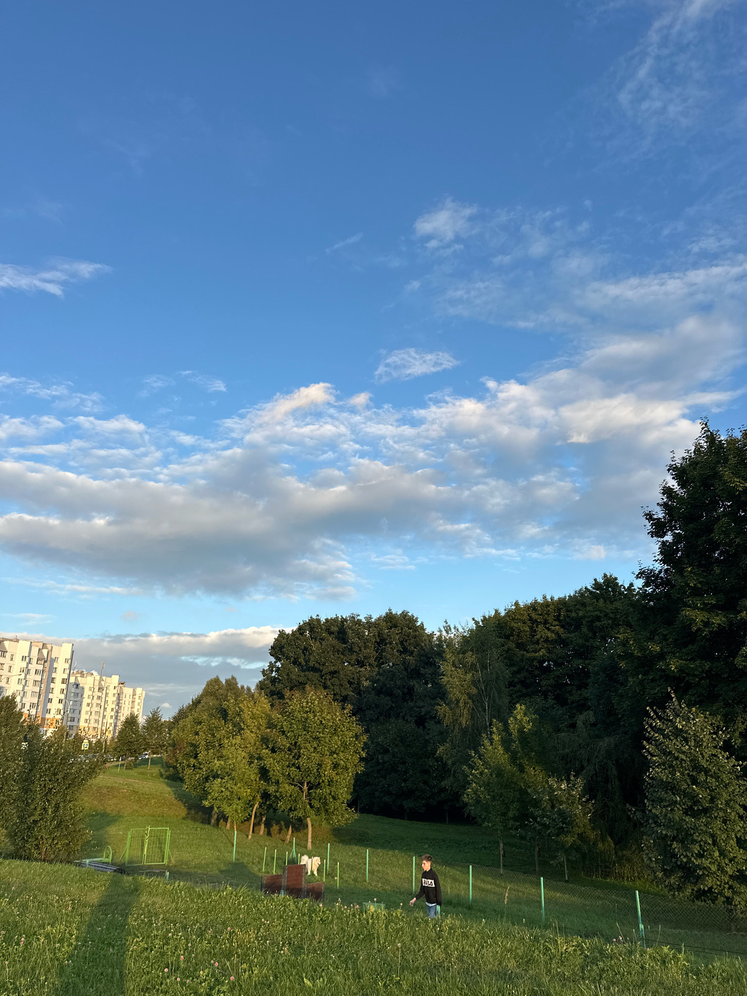 The image depicts a suburban park in Minsk, Belarus, bathed in the warm light of what appears to be late afternoon or early evening. A person, wearing a black hooded sweatshirt with "FILA" written on it and blue jeans, is walking downhill on a grassy slope. To the left, several multi-story apartment buildings are visible, a common sight in Minsk's residential areas. The park itself is characterized by lush green grass, interspersed with clover and wildflowers. Several trees, including mature deciduous trees and smaller saplings, dot the landscape. In the middle ground, there are a few amenities such as a park bench and what looks like a dog agility equipment setup with green fences. The sky above is a vibrant blue, adorned with scattered white cumulus clouds, indicating fair weather. The overall scene suggests a peaceful, everyday moment in a city park.