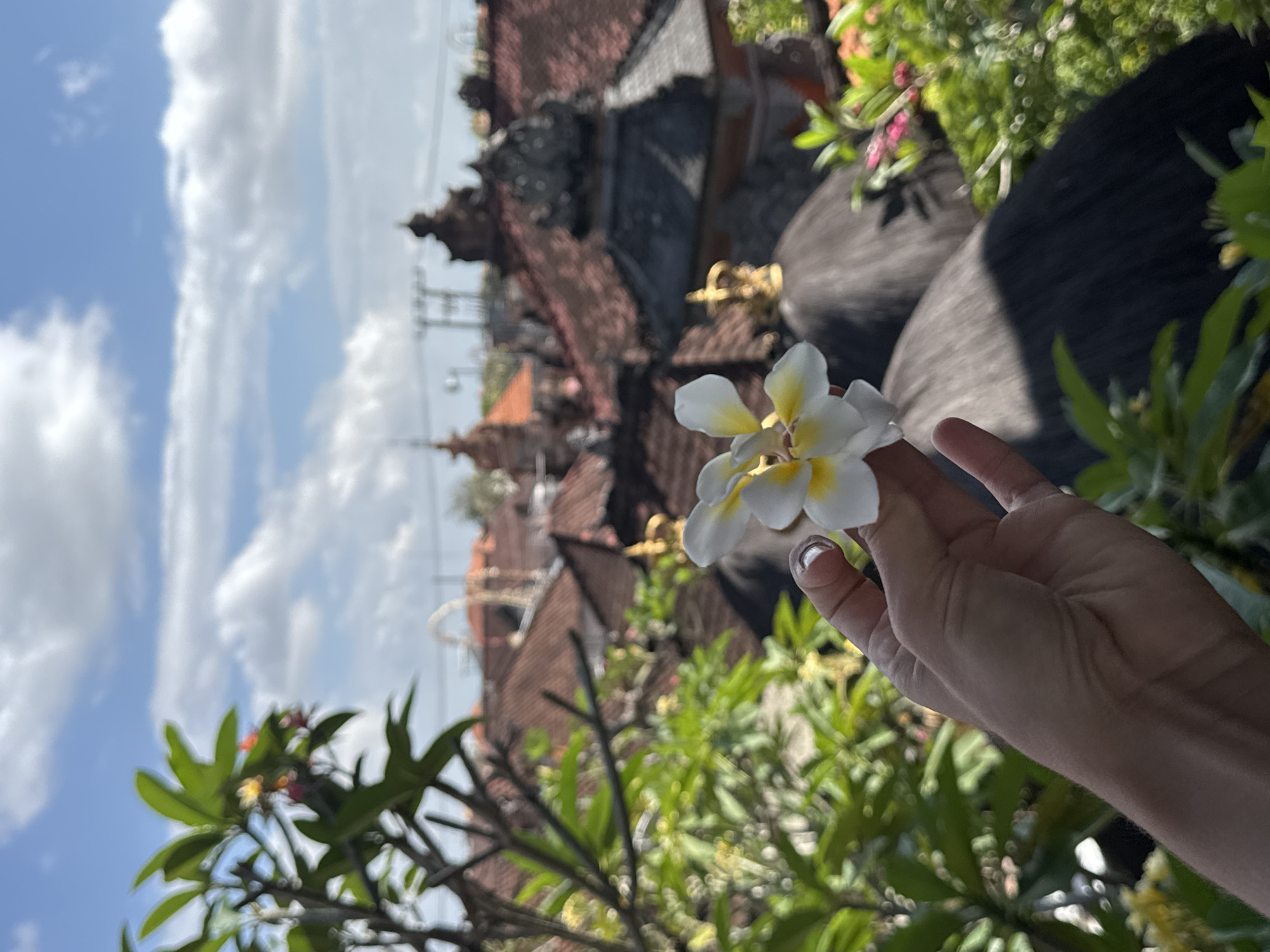 A hand holds a white and yellow flower in the foreground, with the blurred rooftops of buildings in North Kuta, Indonesia, visible in the background under a bright blue sky with scattered clouds. The hand is lightly touching the flower, which is in focus. The buildings have traditional red-tiled roofs and architectural details typical of the region. Lush green foliage is present on the left side of the frame, partially obscuring the view of the flowers and the sky. The lighting suggests it is daytime, likely morning or afternoon, with strong sunlight creating shadows.