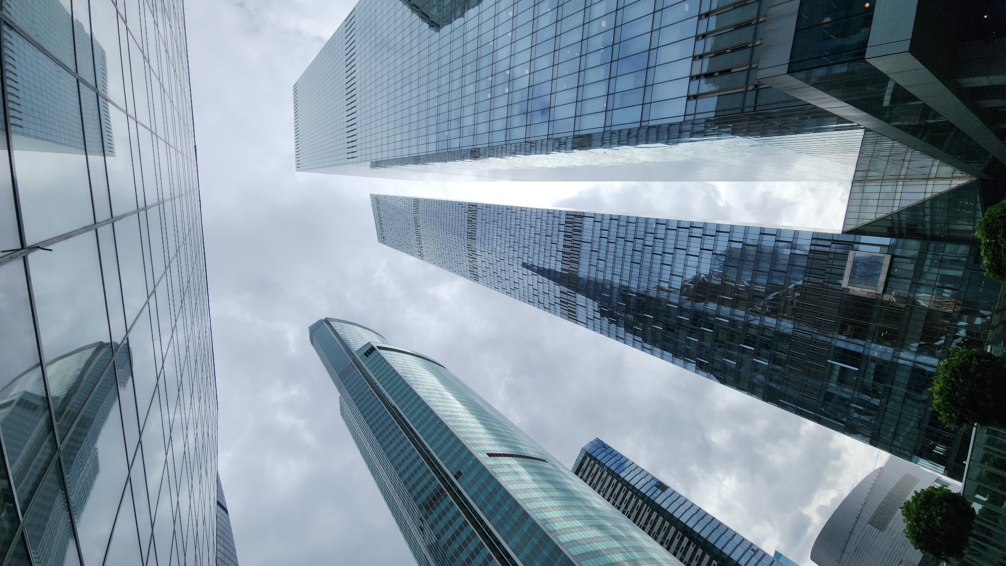 The image shows a low-angle view of several modern skyscrapers in Moscow, Russia. The buildings are predominantly clad in glass, reflecting the overcast sky above. The architectural styles are diverse, ranging from sleek, rectangular towers to a curved, rounded skyscraper. The facades are largely composed of grid-like patterns of windows. Sparse greenery is visible at the lower right corner of the frame. The sky is filled with gray clouds.