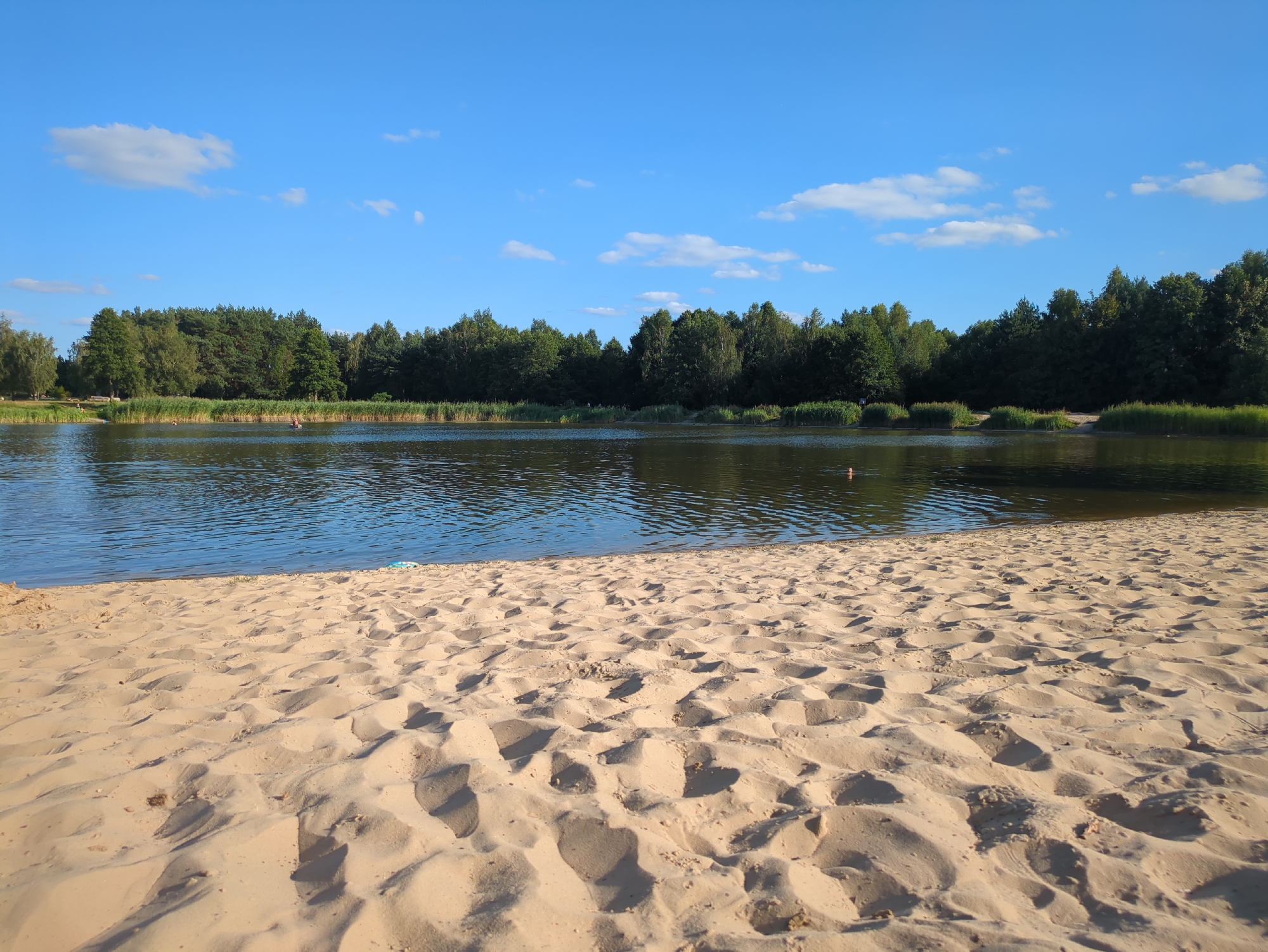 A sunny day scene unfolds with a sandy beach in the foreground leading to a calm lake. The lake is bordered by a dense line of green trees along its far bank. The sky above is a clear blue, punctuated by a few scattered white clouds. On the lake, a few people can be seen swimming or wading. The sand on the beach shows footprints, suggesting recent activity. The location is likely a recreational area, possibly a park or a designated swimming spot within the city of Zelów, Poland.