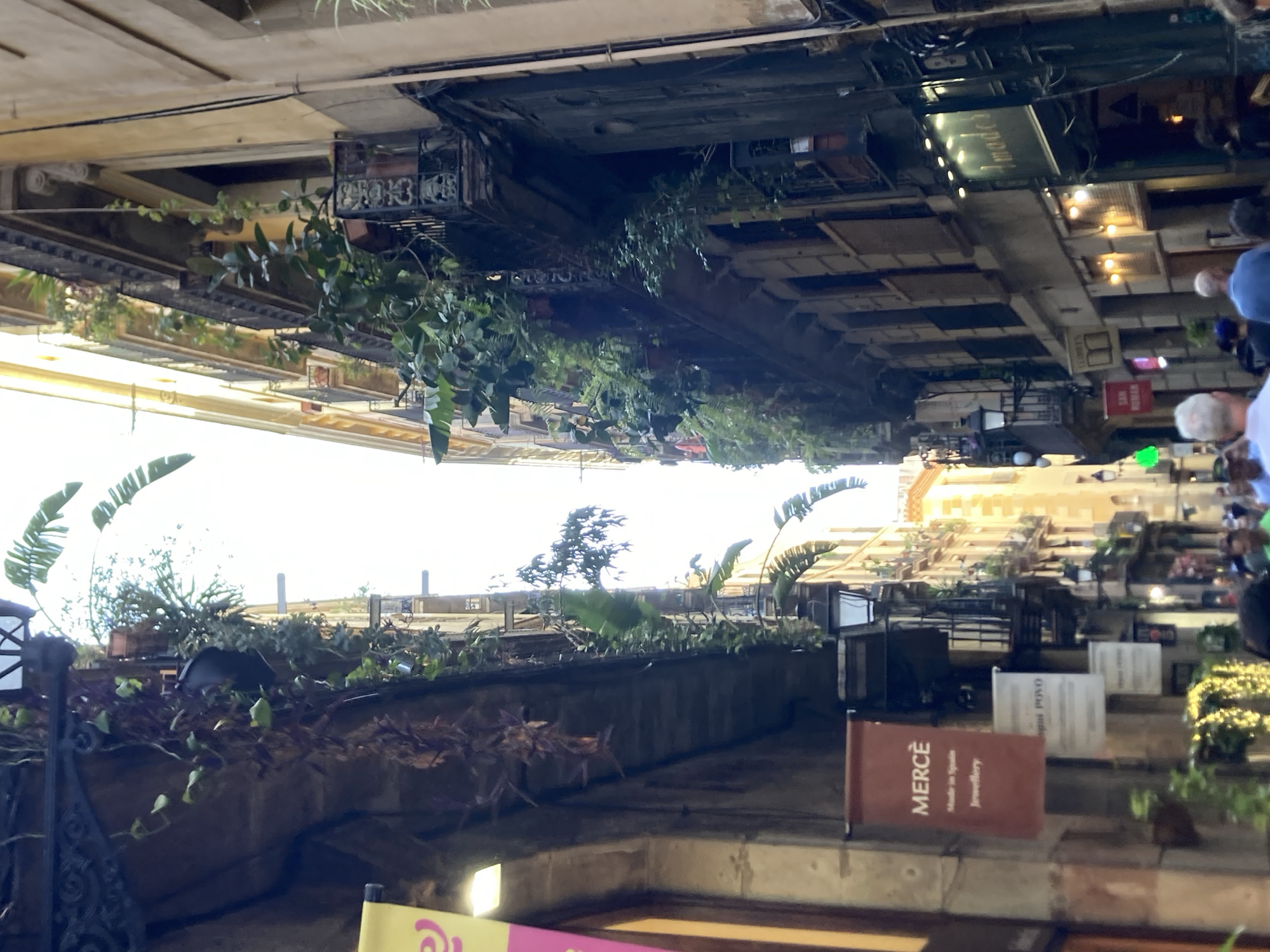 The image shows a narrow street in Barcelona, Spain, with tall buildings on either side. The buildings are old and have balconies overflowing with plants. The street is lined with shops, and there are people walking around. The overall impression is one of a vibrant and lively urban environment. The image appears to be taken from street level, looking up at the buildings and the sky. The lighting suggests it is daytime, possibly late afternoon or early evening, as the light is somewhat diffused and there are some shadows. The architecture suggests a European city, and the presence of the "Mercè" banner, which is a significant cultural event in Barcelona, strongly points to the city. The narrow street, the old buildings with ornate balconies, and the abundant greenery are characteristic of the Gothic Quarter or El Born neighborhood in Barcelona. There are several shops visible, including one with a sign reading "MERCÈ Made in Spain Jewellery" and another with a sign displaying a book icon, suggesting a bookstore. Further down the street, another sign reads "Amodei." People are seen walking in both directions, some are blurred, indicating movement. The focus is on the street scene and the architecture, with the people acting as secondary elements to the environment.
