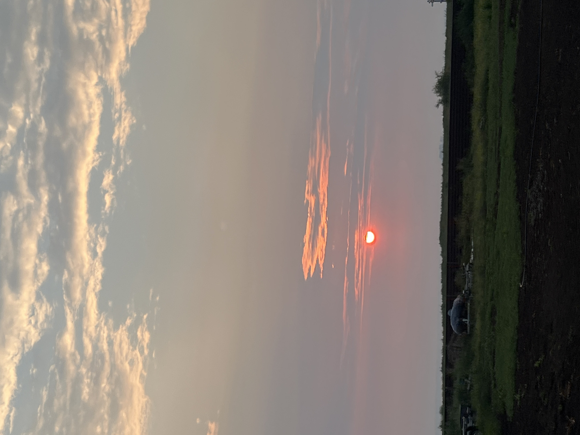 A sunset over Novopichugovo, Russia, is depicted in this vertical, medium-wide shot. The sun, a vibrant orange orb, is partially obscured by a thin layer of clouds, casting a warm glow across the sky. Wispy clouds, tinged with pink and orange, stretch across the upper portion of the frame. In the middle ground, a dark, horizontal line of trees or bushes separates the sky from the land. The foreground features a grassy field with some dark soil in the bottom left corner. In the middle ground, a large, dark, irregularly shaped object, possibly a storage tank or piece of equipment covered in a tarp, sits on a trailer amidst the grass. A dark, low fence or barrier runs horizontally across the mid-section of the image. The overall atmosphere is serene and natural, with a focus on the sky and the landscape.