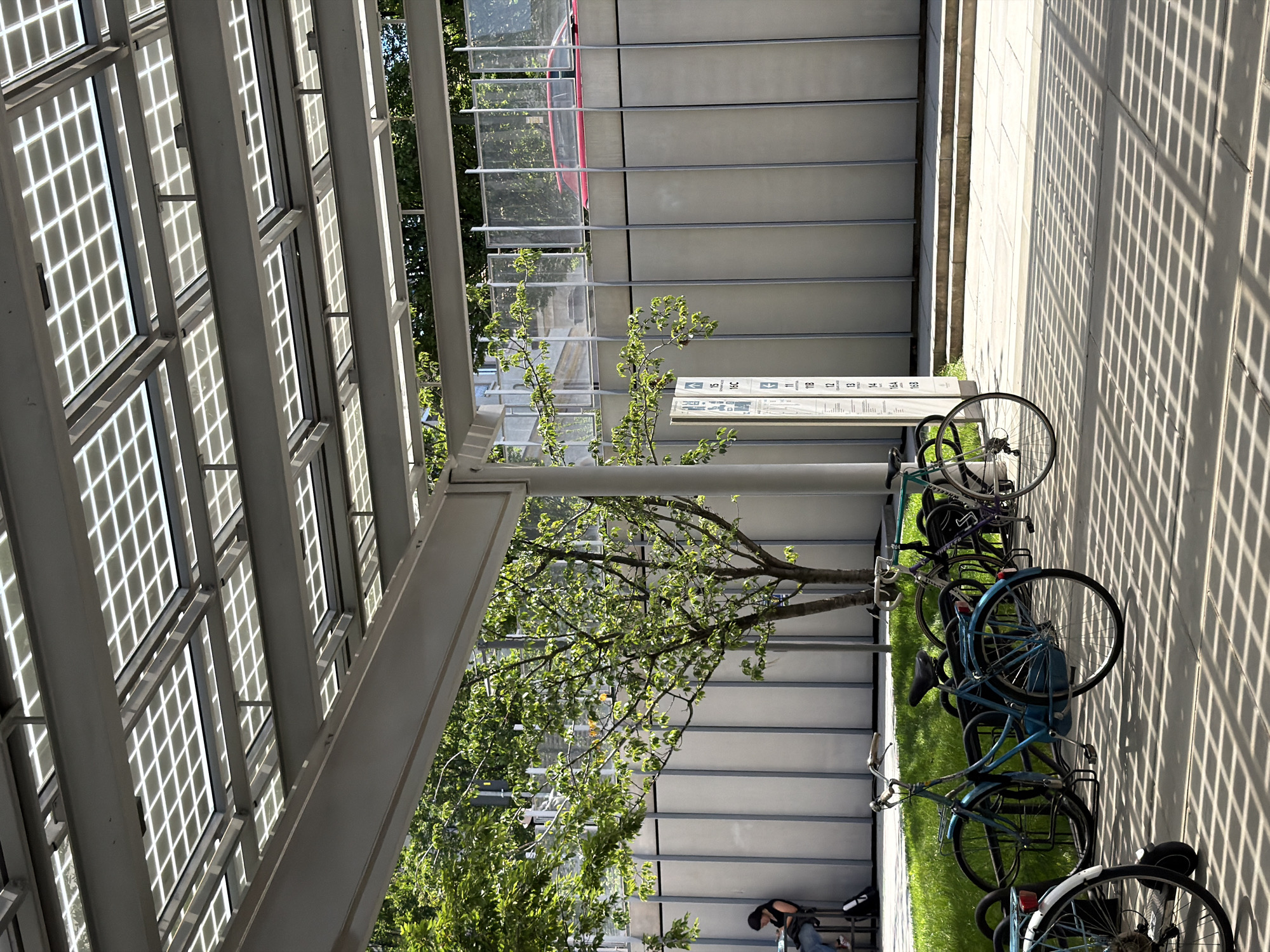 The image captures an outdoor scene likely in Milan, Italy, featuring a bicycle rack under a solar panel structure. Parked in the rack are a few bicycles of various colors, mainly blue, black, and white. A slender tree with green leaves grows beside the bike rack, adding a touch of nature to the setting. To the left, a solar panel structure casts grid-like shadows on the ground. A person is visible near the bottom of the frame. A bus shelter with glass panels, metal frames, and a red roof is visible in the background. There is a bus stop information panel installed as well.