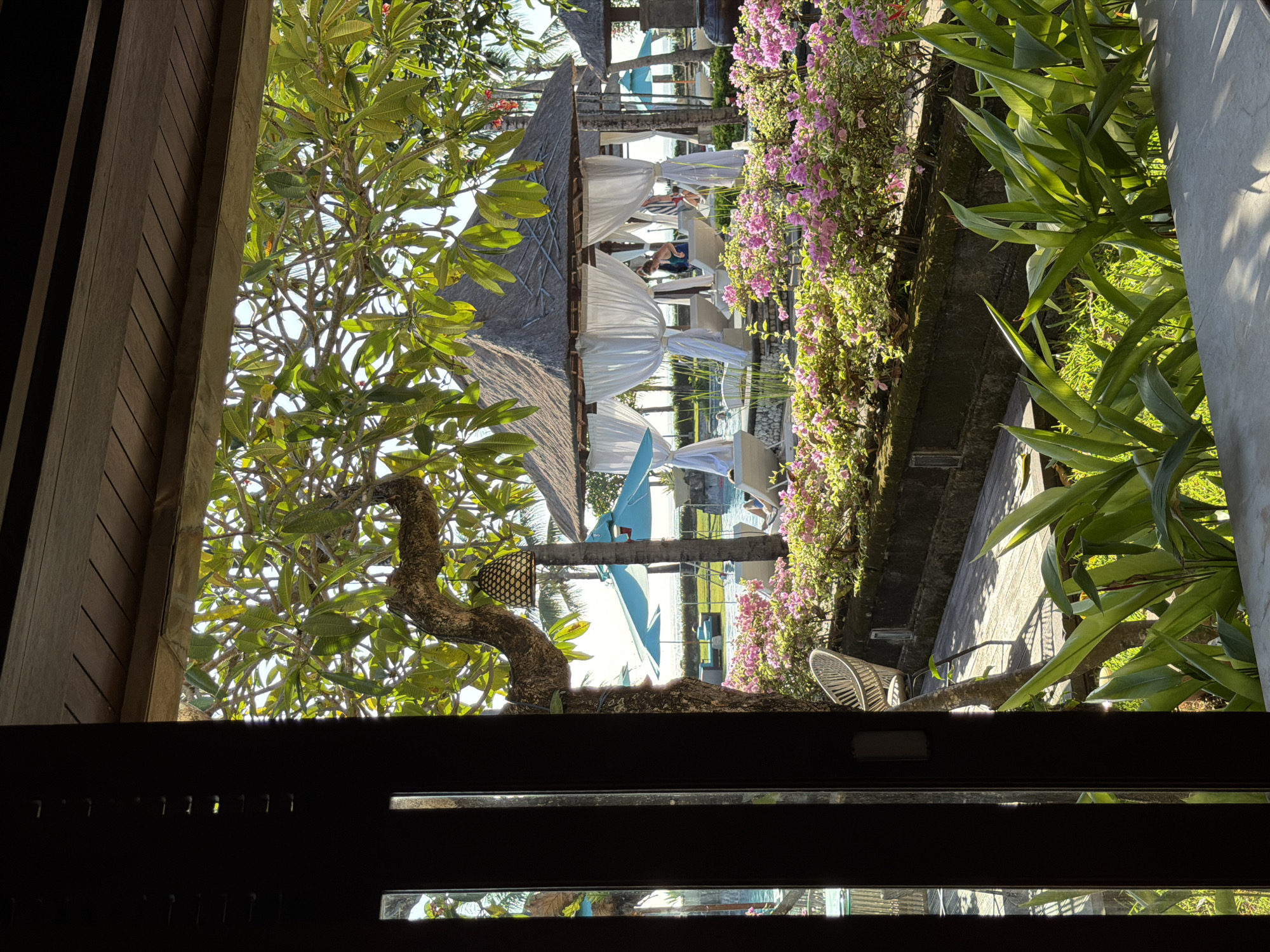 The image shows a view from inside a building or room, looking out towards an outdoor area. In the distance, there are white canopies covering seating, suggesting a beach resort or similar setting. The canopies are spread out in a line, and people are seated beneath some of them. Beyond the canopies, hints of blue indicate the presence of water, likely the ocean.
In the foreground, there's vegetation, including flowering bushes with pink blooms, and other green plants. A tree with light green leaves occupies the left side of the frame. The view is framed by the window or opening of the building, and the bottom portion of the image is obscured by the dark frame of the window.
Based on the resort-like setting with canopies on the beach, it is possible this image was taken in Kuta, Indonesia, a popular beach destination. However, without further information, it is not possible to confirm the location.