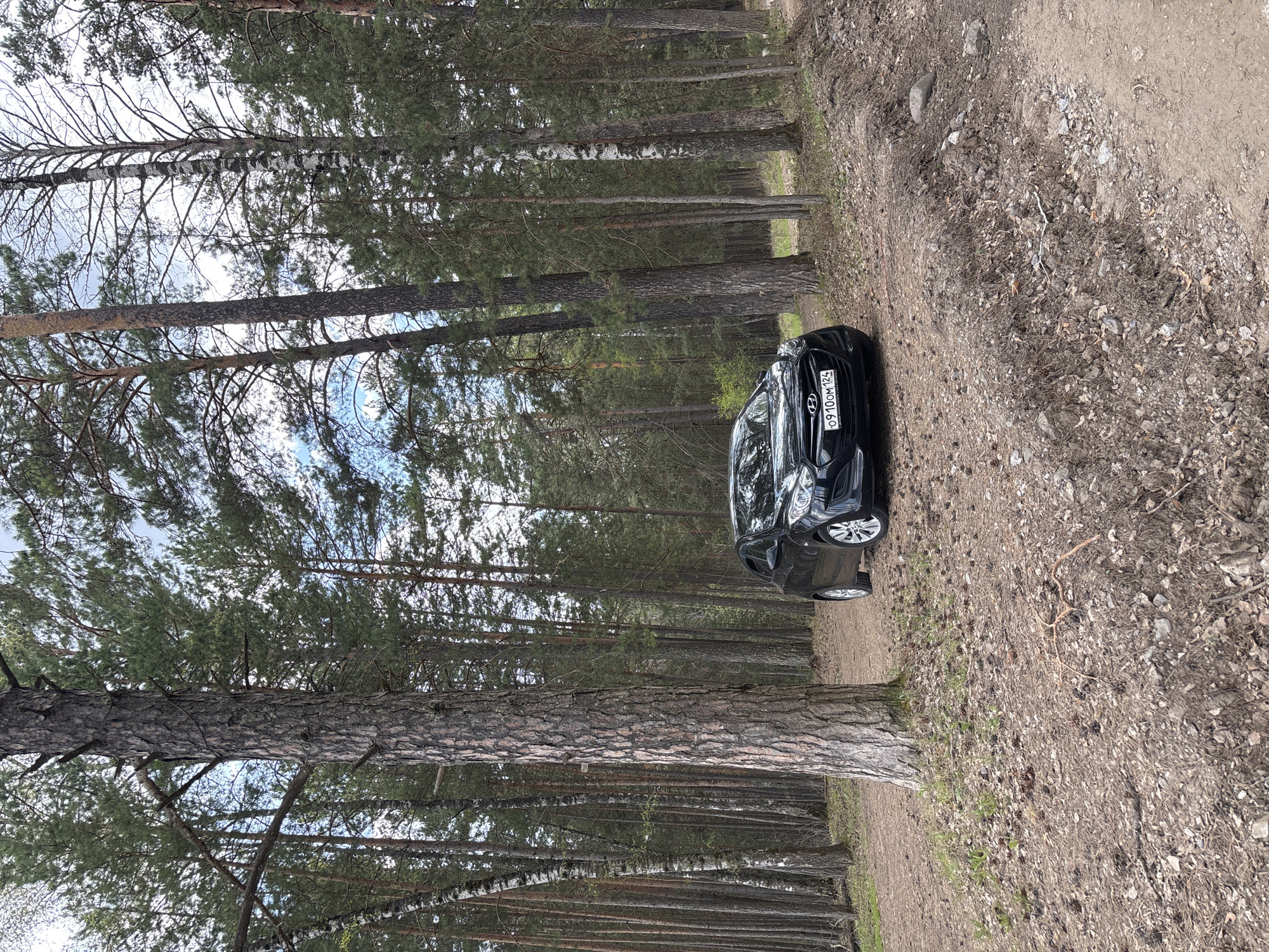 A black car with the license plate "O 910 OM 124" is parked on a dirt path in a forest. The trees are tall and thin. The ground is covered with dirt, pine needles, and other forest debris. The location is likely in or near the city of Krasnoyarsk, Russia, based on the license plate which is a Russian license plate.