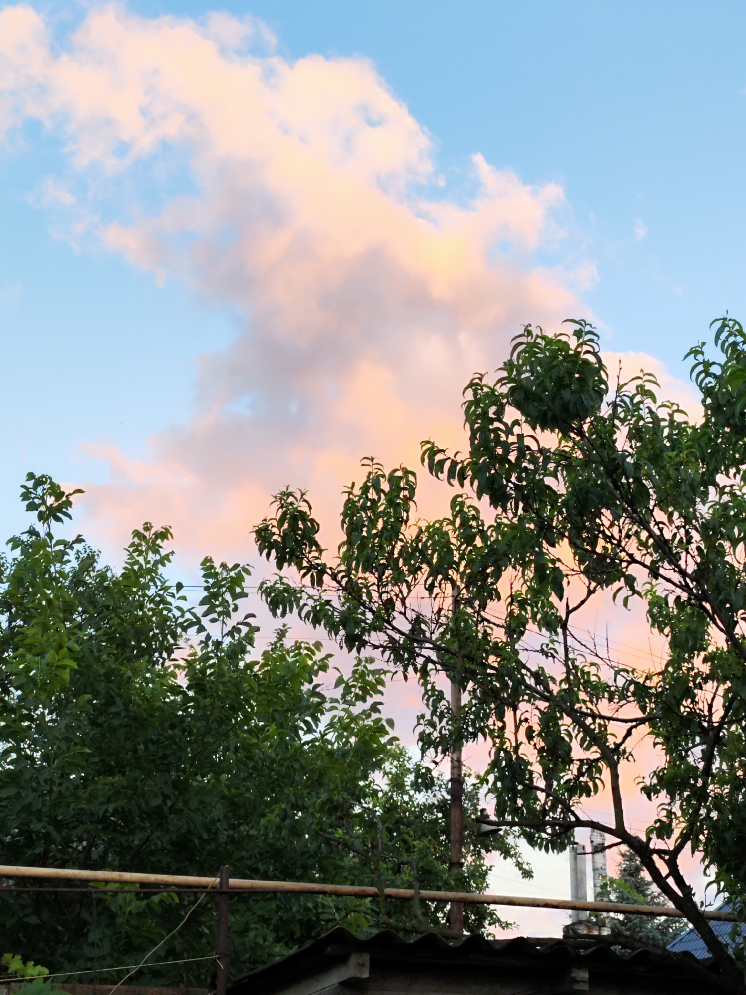 This is a photograph taken in Makiivka, Ukraine, capturing a natural scene. The upper portion of the image features a sky with soft, pastel-colored clouds, transitioning from a light blue to shades of pink and orange, indicative of either sunrise or sunset. Silhouetted against this sky are the tops of several trees. In the foreground, a metal fence runs horizontally across the lower part of the frame, supporting a horizontal bar. Below the fence, a dark, corrugated roof structure is visible. The overall impression is a tranquil outdoor setting, possibly a garden or yard, under a colorful sky. There are no people or animals present in the image. The scene is static and peaceful.
