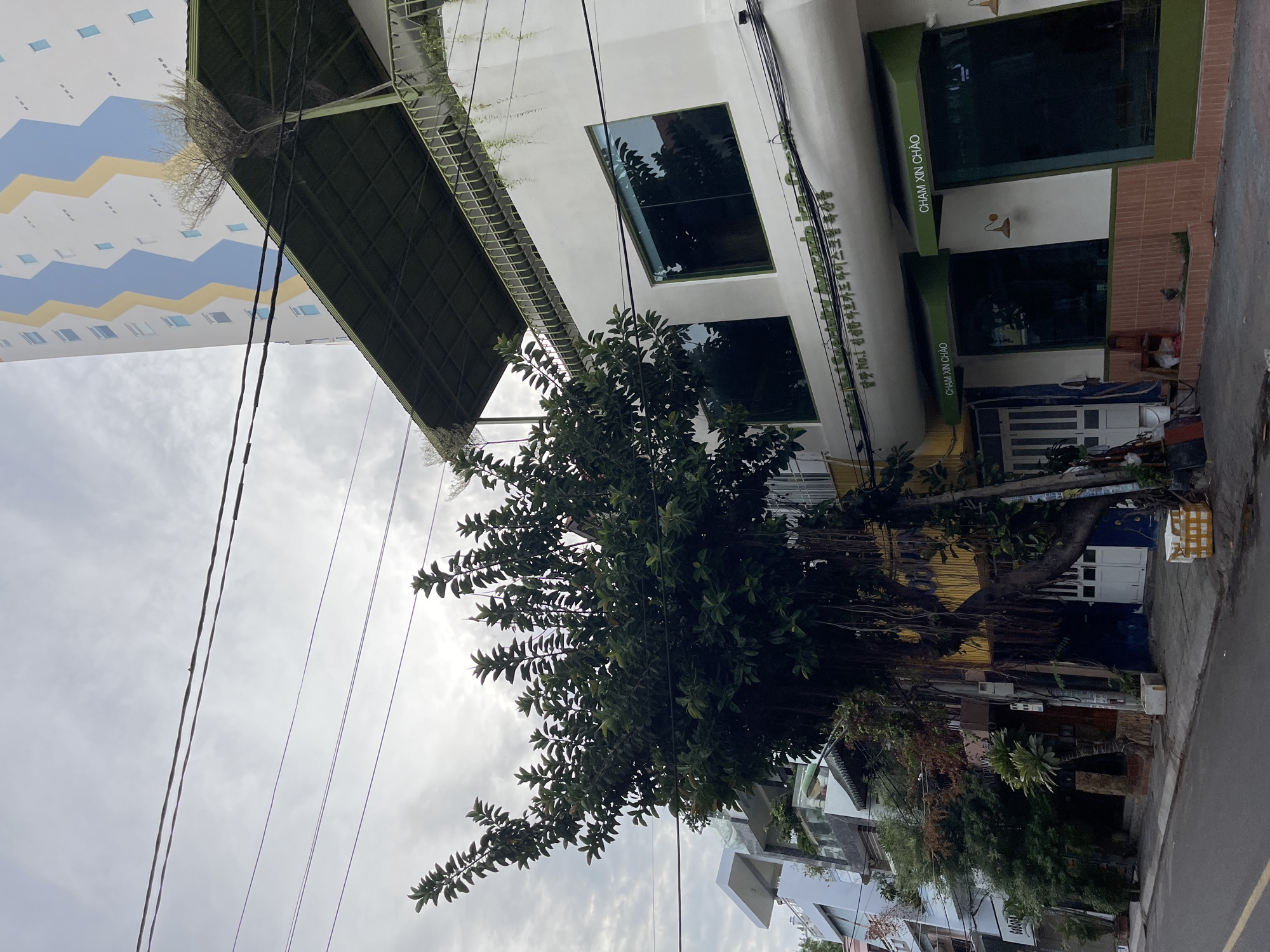 The image shows a street scene in Nha Trang, Vietnam. A large, leafy tree with exposed roots dominates the center of the frame, casting shadows on a white building to its right. The building has large, dark-tinted windows and green awnings over its storefronts. Text in Vietnamese and Korean is visible above the awnings, indicating the presence of a business, possibly a cafe or shop. In the background, a tall, modern building with a yellow and blue zigzag pattern rises against a cloudy sky. Power lines crisscross the sky, obscuring parts of the buildings and the tree. A sidewalk runs in front of the buildings, with some boxes and a small plant visible on it. The street itself is paved and empty, suggesting a quiet moment. To the left of the main tree, other buildings and trees create a dense urban landscape.