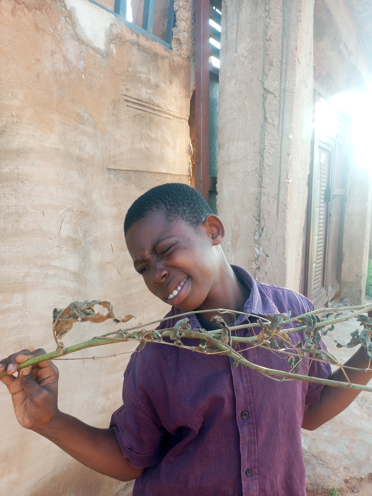 A young Black boy, appearing to be between 8-10 years old, stands outdoors in front of a dilapidated mud and plaster wall. He is wearing a short-sleeved, purple collared shirt. His face is contorted in a grimace, eyes squeezed shut, with his mouth open showing teeth. He is holding a dry, thorny plant stalk horizontally in front of his body with his left hand, his arm extended. The plant has sparse, dried leaves. The background consists of a textured, light brown wall with some cracks and discoloration. To the right, there is a window with louvred shutters and bright sunlight filtering in, creating lens flare. The architecture suggests a rural or possibly a low-income urban setting within Tempure, Nigeria.