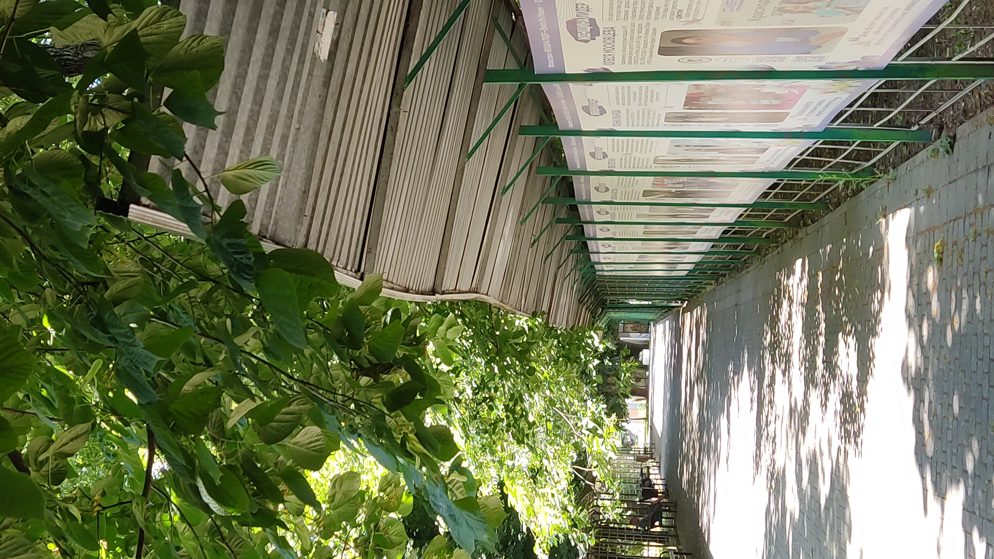 The image depicts a sun-dappled walkway in Krasnodar, Russia, bordered by trees on the left and a long row of display panels under a corrugated metal roof supported by green posts on the right. The walkway is paved with gray bricks, and tree branches with lush green leaves overhang from the left, casting shadows on the ground. Along the left side of the walkway, there are several benches with people seated. The display panels on the right appear to be exhibiting information or photographs, with visible text in Cyrillic script. The overall scene suggests an outdoor public space, possibly a park or an exhibition area within the city of Krasnodar.