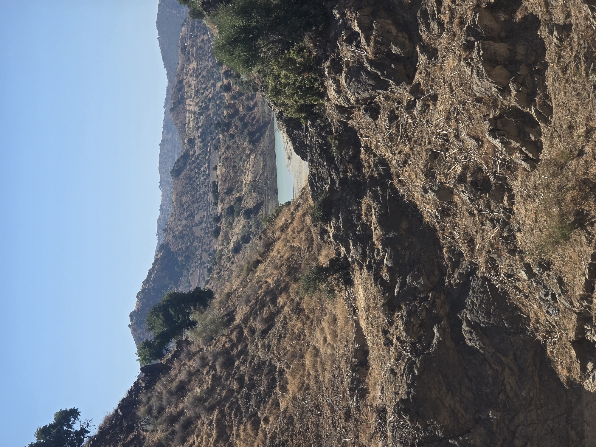 This image depicts a rugged, arid landscape with a body of water in the distance. The foreground is dominated by dry, rocky terrain with sparse, brown vegetation and some larger rocks. A steep, dry slope covered in brush and scattered trees rises on the left side of the frame. In the mid-ground, a light blue body of water, possibly a reservoir or lake, is visible, with a sandy or muddy shoreline. Beyond the water, rolling hills covered in scrub and scattered trees extend into the background under a clear, bright blue sky. The scene appears to be a natural environment, likely a rural or semi-natural area, with no visible people, structures, or man-made objects other than the body of water. The location in Almogía, Spain, suggests a Mediterranean climate, characterized by dry summers and this type of vegetation.
