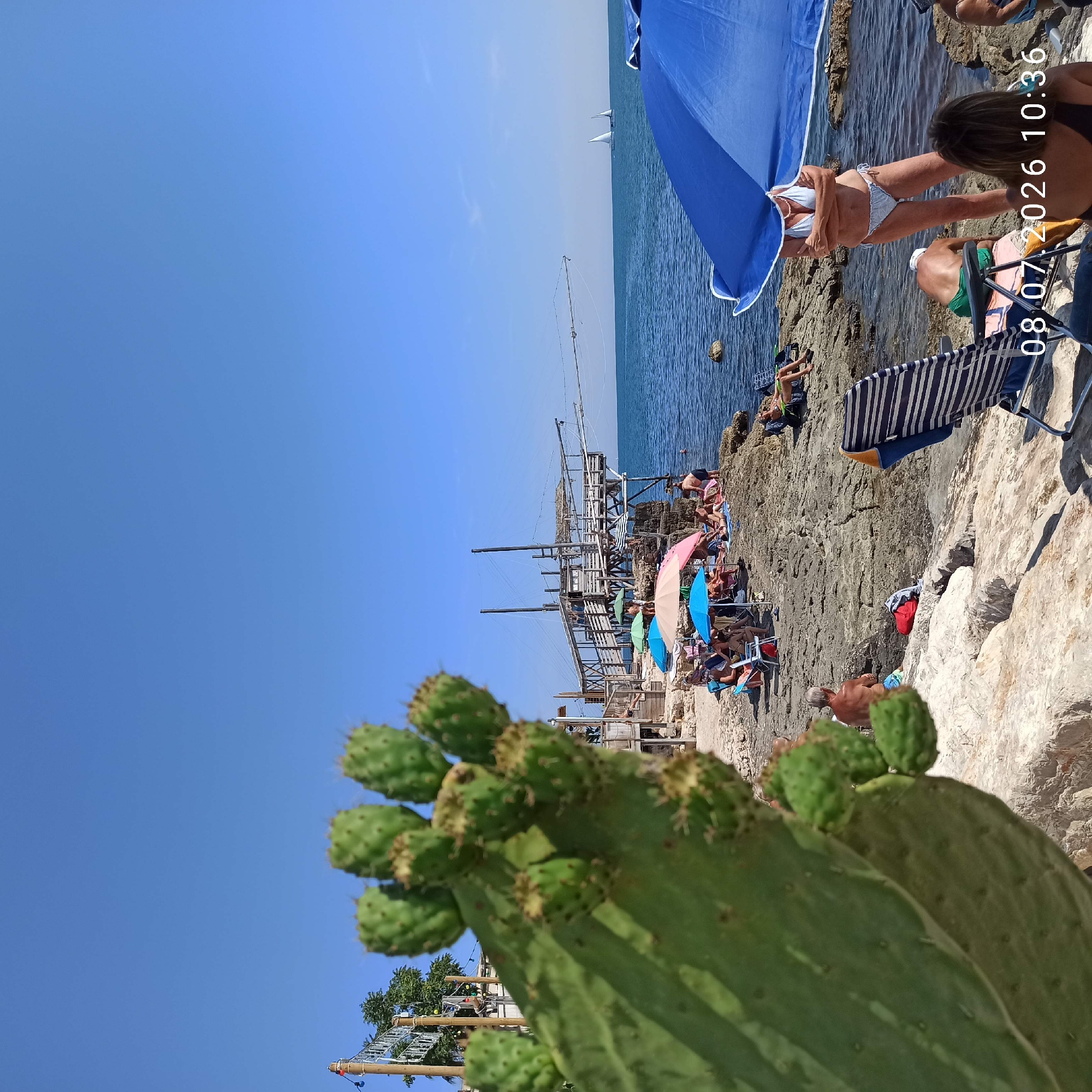 In Trani, Italy, a rocky coastline features a beach with several people sunbathing and relaxing under umbrellas. A prominent prickly pear cactus in the foreground adds a natural element to the scene. In the background, a traditional wooden fishing structure known as a trabucco stands over the water, with two sailboats visible on the horizon. The sky is clear and blue, indicating a sunny day. The image is dated 08.07.2026 at 10:36.