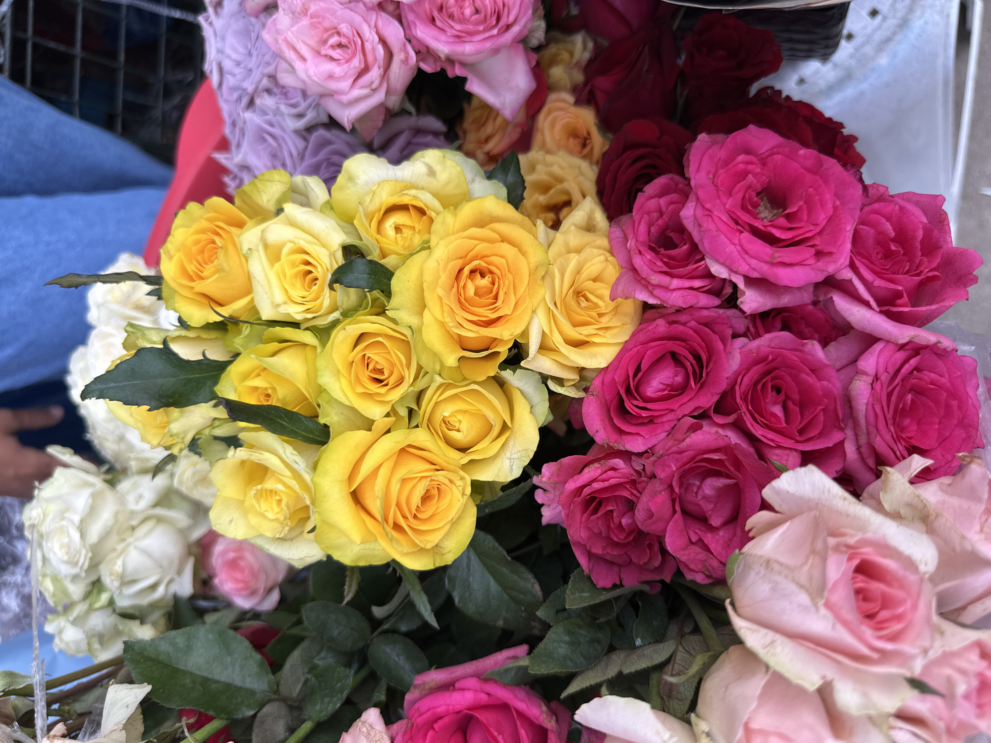 A close-up, eye-level shot showcases a vibrant assortment of roses, predominantly yellow and fuchsia, arranged in what appears to be a flower stall. The yellow roses, tightly clustered, exhibit a gradient of color from pale yellow to deep orange, their petals layered in a classic rose formation. Interspersed are bright fuchsia roses, their velvety petals unfolding in a slightly looser, more open fashion. Lighter pink roses are visible in the foreground and background, offering a softer contrast. A few white roses are peeking from the top of the bouquet, and hints of pale purple and deep red roses add further depth to the arrangement. The backdrop is slightly blurred, suggesting the presence of other flower arrangements or materials, with a sliver of blue fabric and a red object visible. The scene is brightly lit, highlighting the rich colors and textures of the flowers. The composition and variety of roses suggest this image was likely taken at a flower market or a roadside stall in Davao City, Philippines, possibly near the city center or a popular flower market area.