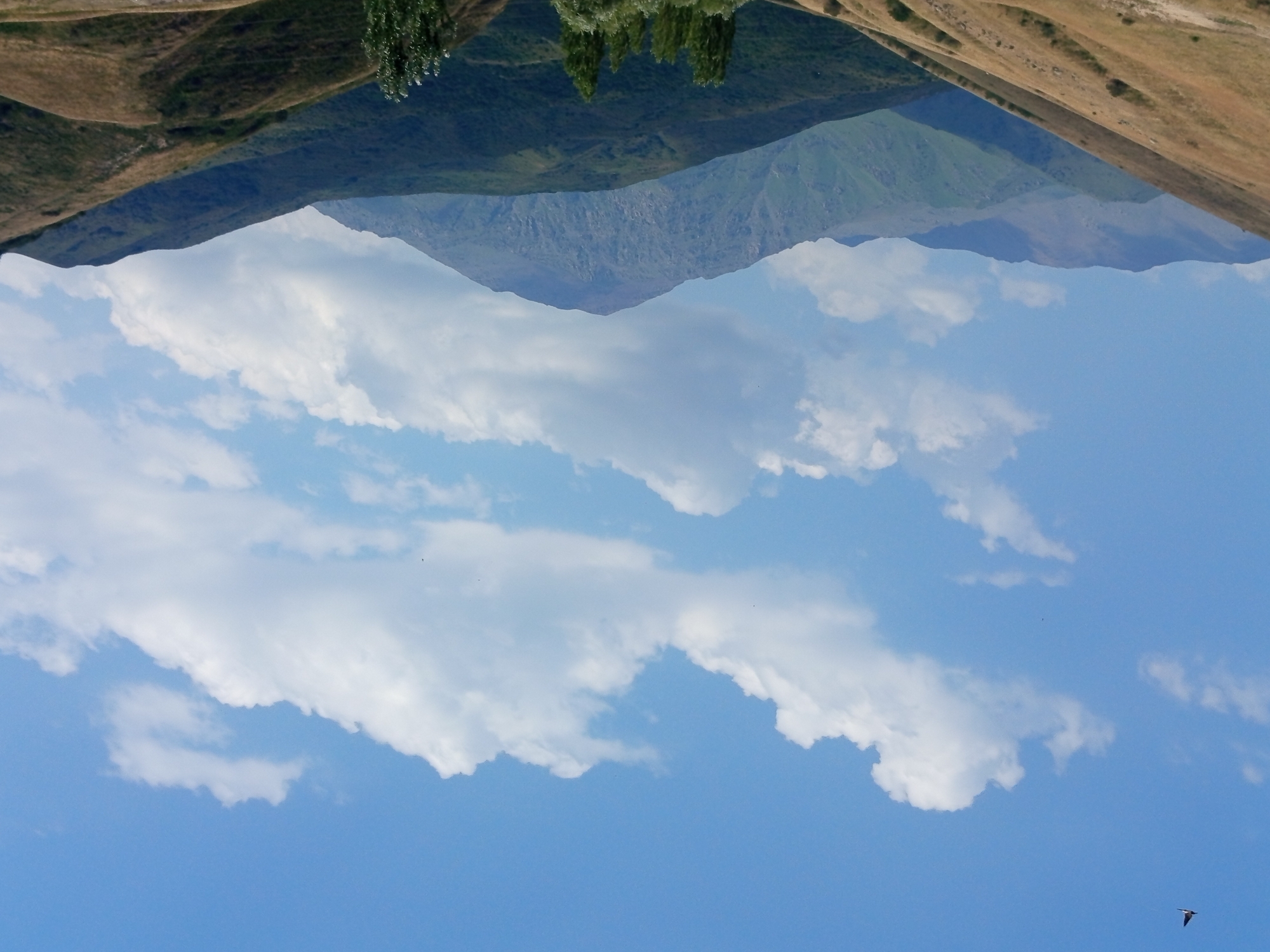 The image is a panoramic view of a mountainous landscape in Jardy-Su, Kyrgyzstan. In the foreground, rolling hills are covered with dry, golden grass, with sparse patches of green vegetation. As the eye moves toward the background, the landscape transitions to darker, forested hills, and then to a series of progressively more distant mountain ranges. The tallest mountain in the mid-ground has a distinctly conical shape and is covered in a mixture of rock and vegetation. The sky above is a vibrant blue, dotted with scattered white cumulus clouds. A single bird is visible in flight in the upper left portion of the sky. The overall impression is one of a vast, natural, and serene environment.
