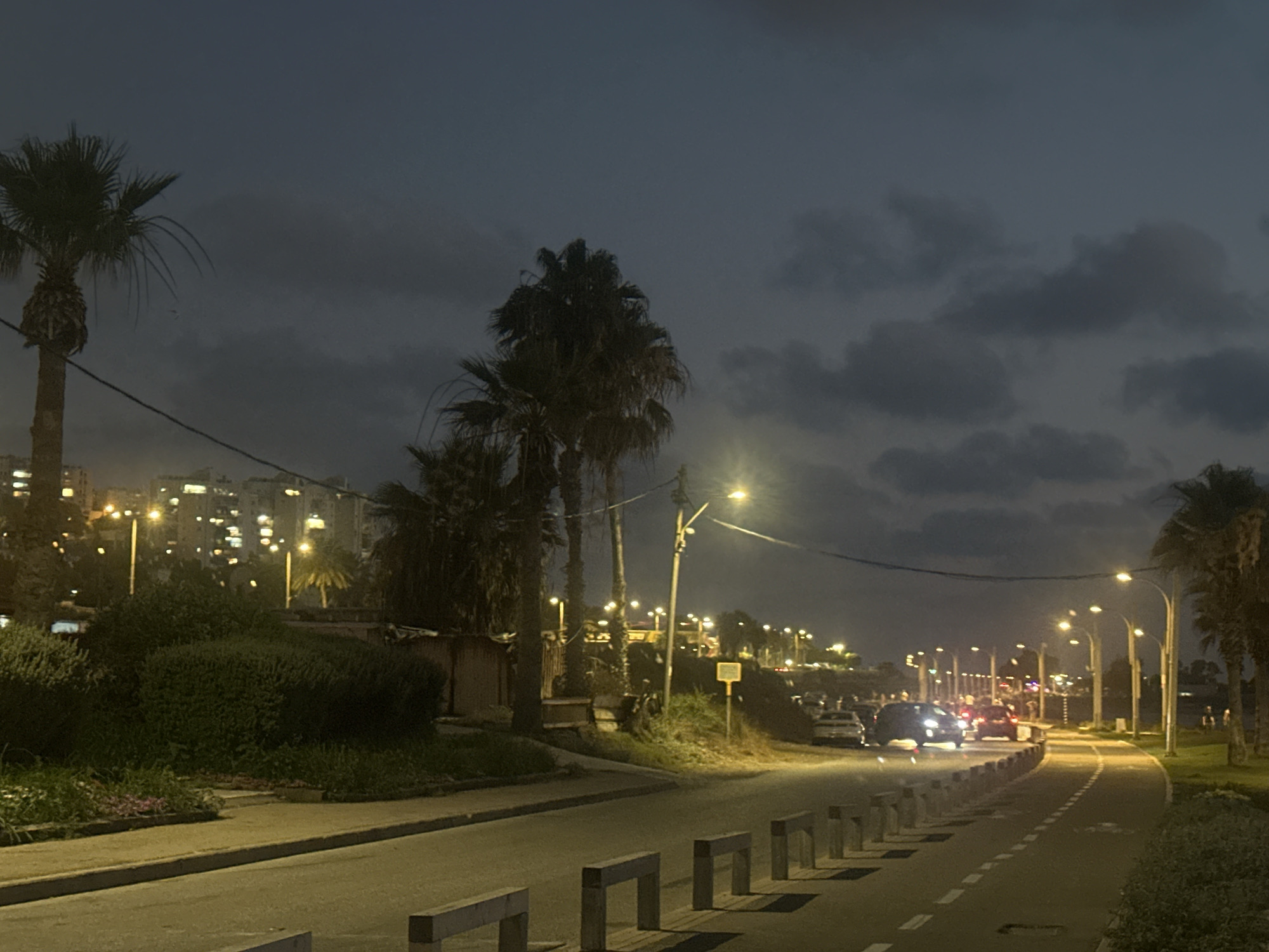 The image depicts a coastal road at dusk in Haifa, Israel. Palm trees are visible on the left and right sides of the road, with their fronds silhouetted against a cloudy, dark sky. In the background, buildings with illuminated windows suggest a city setting. Streetlights illuminate the asphalt road, which curves to the right. Several cars are driving on the road, their headlights and taillights visible. Concrete barriers line the side of the road. Lush green vegetation and bushes are present along the roadside. The scene appears to be a public area, possibly a park or promenade, adjacent to the roadway.