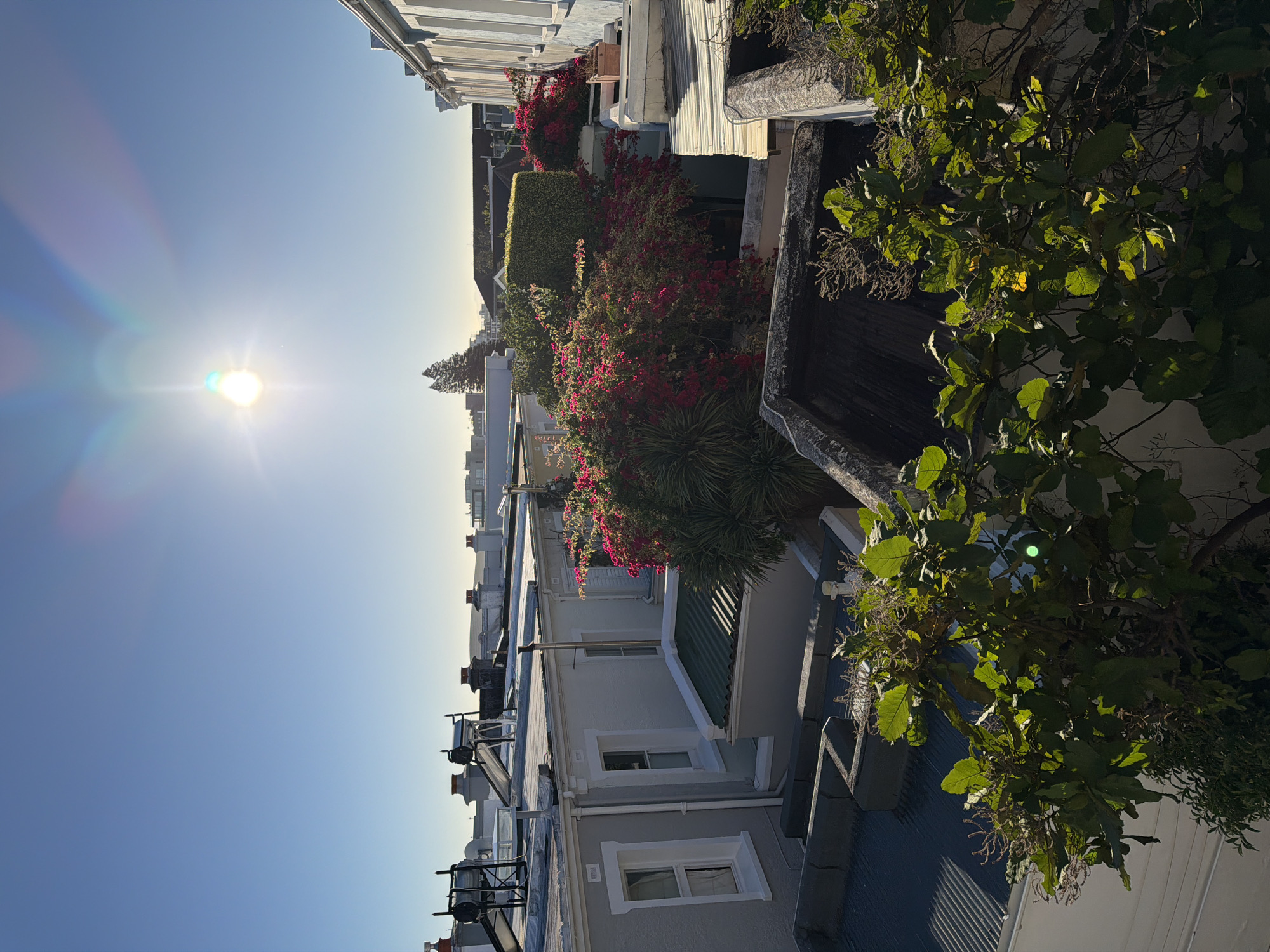 The image shows a view overlooking rooftops in a residential area, with the sun in the sky. The architectural style of the buildings suggests a location in Cape Town, South Africa. Many buildings are painted in light, neutral colours. Some have satellite dishes and solar water heaters. Balconies are visible, some decorated with vibrant bougainvillea. A tree in the foreground partially obscures the view.