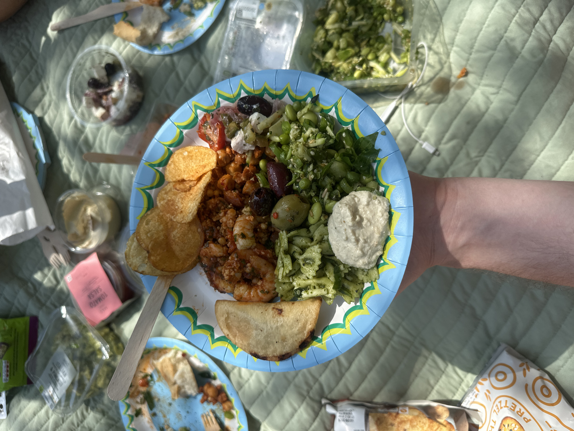 A high-angle shot shows a picnic scene on a green quilted blanket. A person's arm extends into the frame, holding a blue paper plate piled with food: potato chips, shrimp with sauce, olives, a green salad with edamame, and a scoop of hummus. Several other plates and containers are scattered around the blanket: a container of chopped green vegetables, a small container of olives, a container of tomato salsa, and a pack of pretzel thins. One plate appears to have food remnants. The scene is illuminated by sunlight. The location is not discernible from the image.