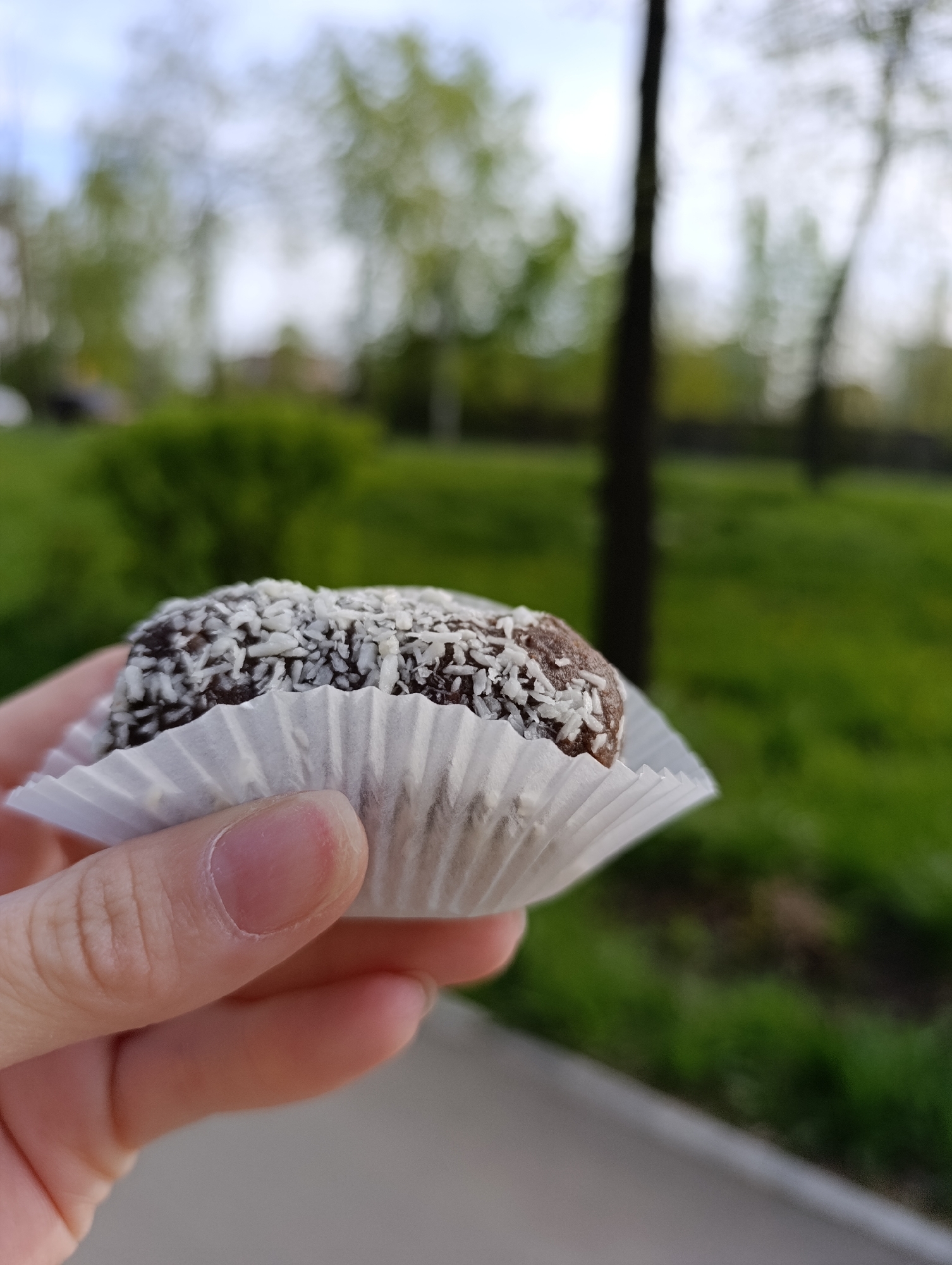 A hand holds a small, oval-shaped, chocolate-colored dessert covered in white coconut flakes in a white paper cupcake liner. The background is a blurred outdoor scene with green grass, trees, and a sidewalk. The location is likely in a park or green space in the city of Chaikovsky, Russia, based on the prompt.