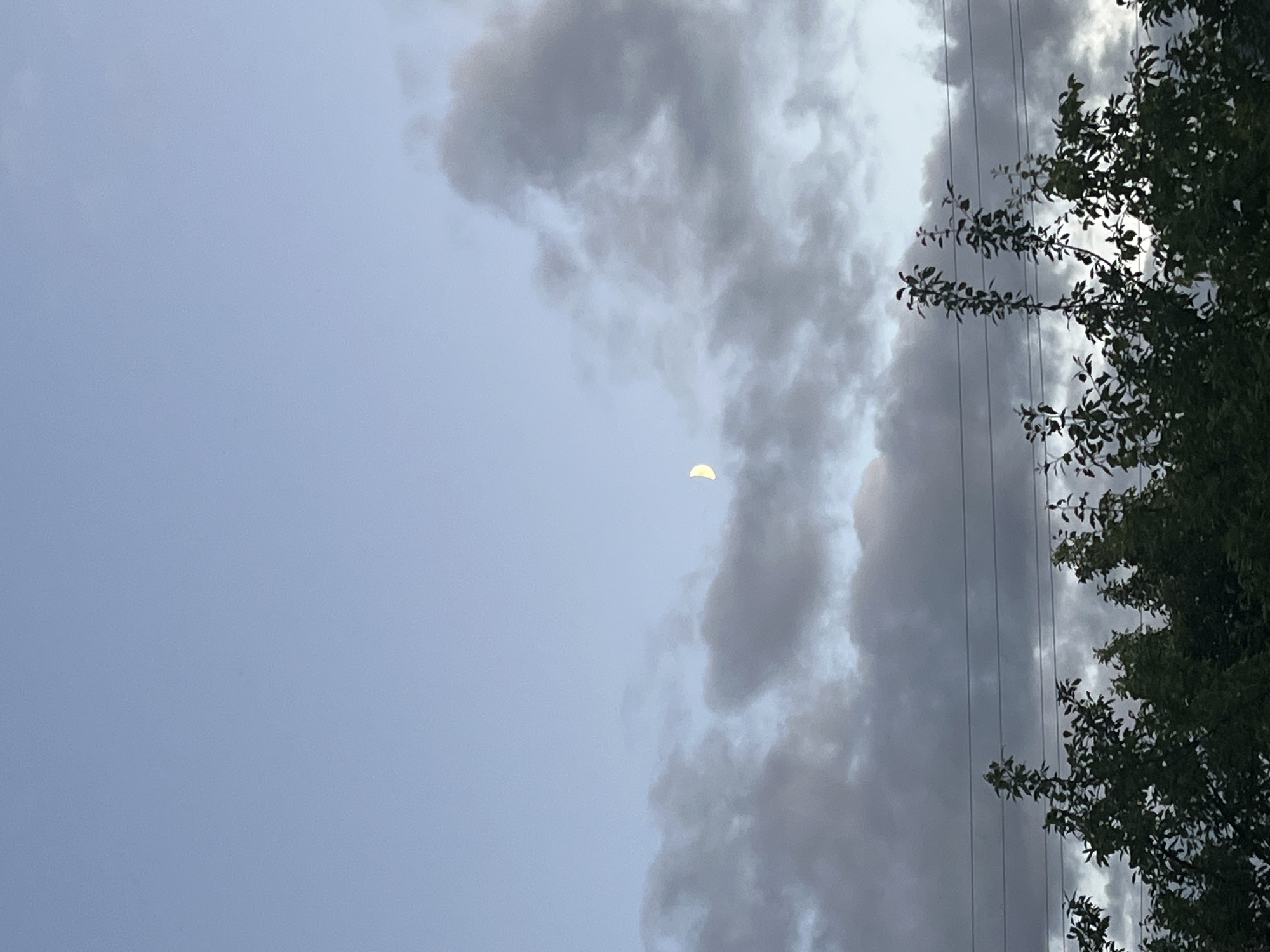 The image shows a dusky sky with a crescent moon visible among scattered clouds. Below the sky, a line of dark green trees with sparse foliage stretches across the bottom of the frame, interspersed with horizontal power lines. The scene appears to be an outdoor landscape at twilight in the city of Klobushnevo, Russia.
