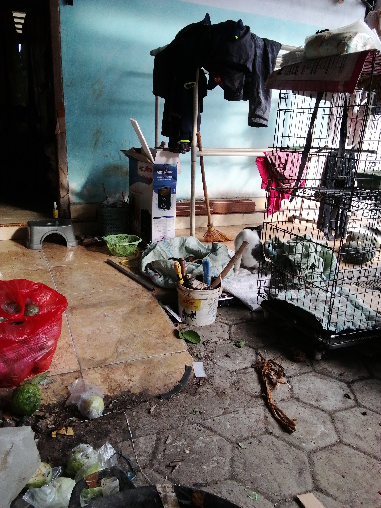 Memory
